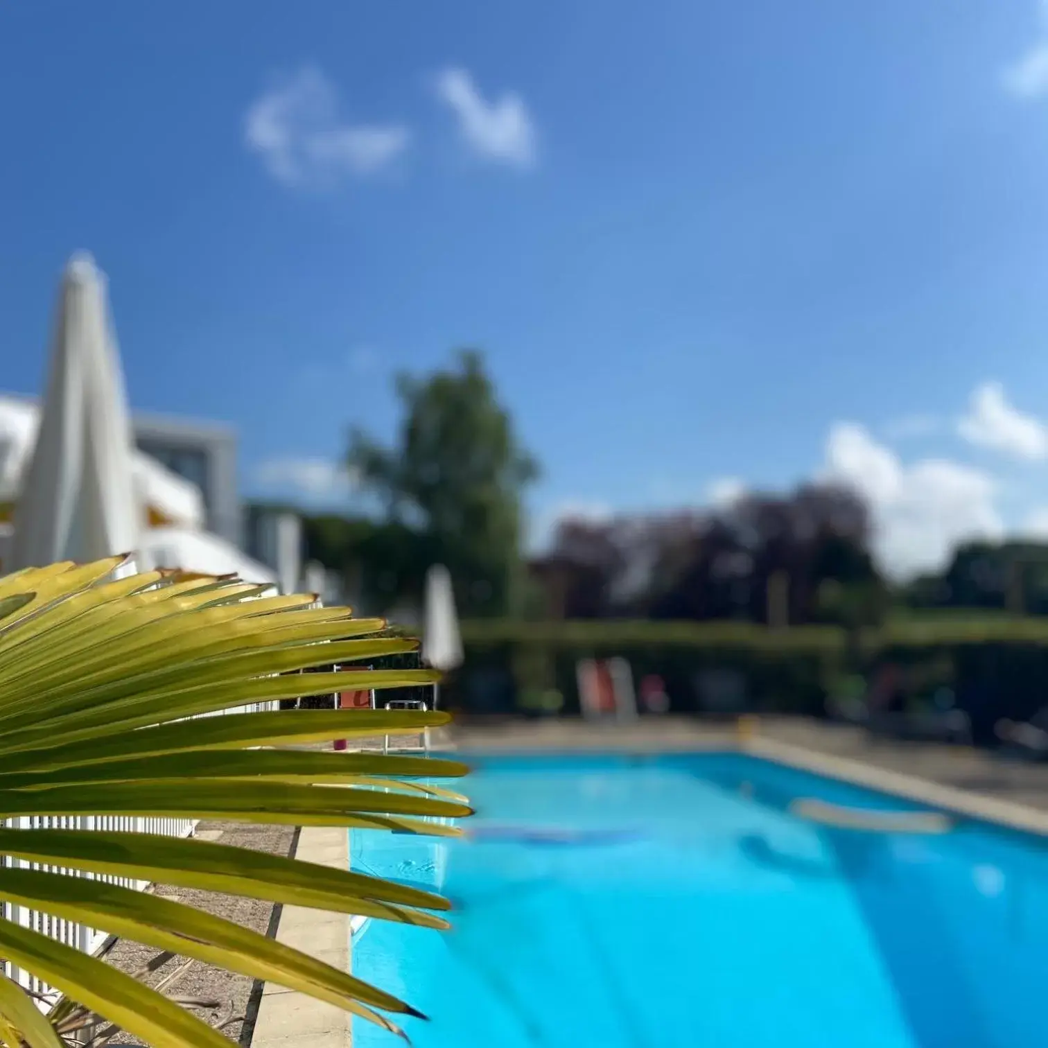 Swimming pool in Mercure Reims Parc Des Expositions