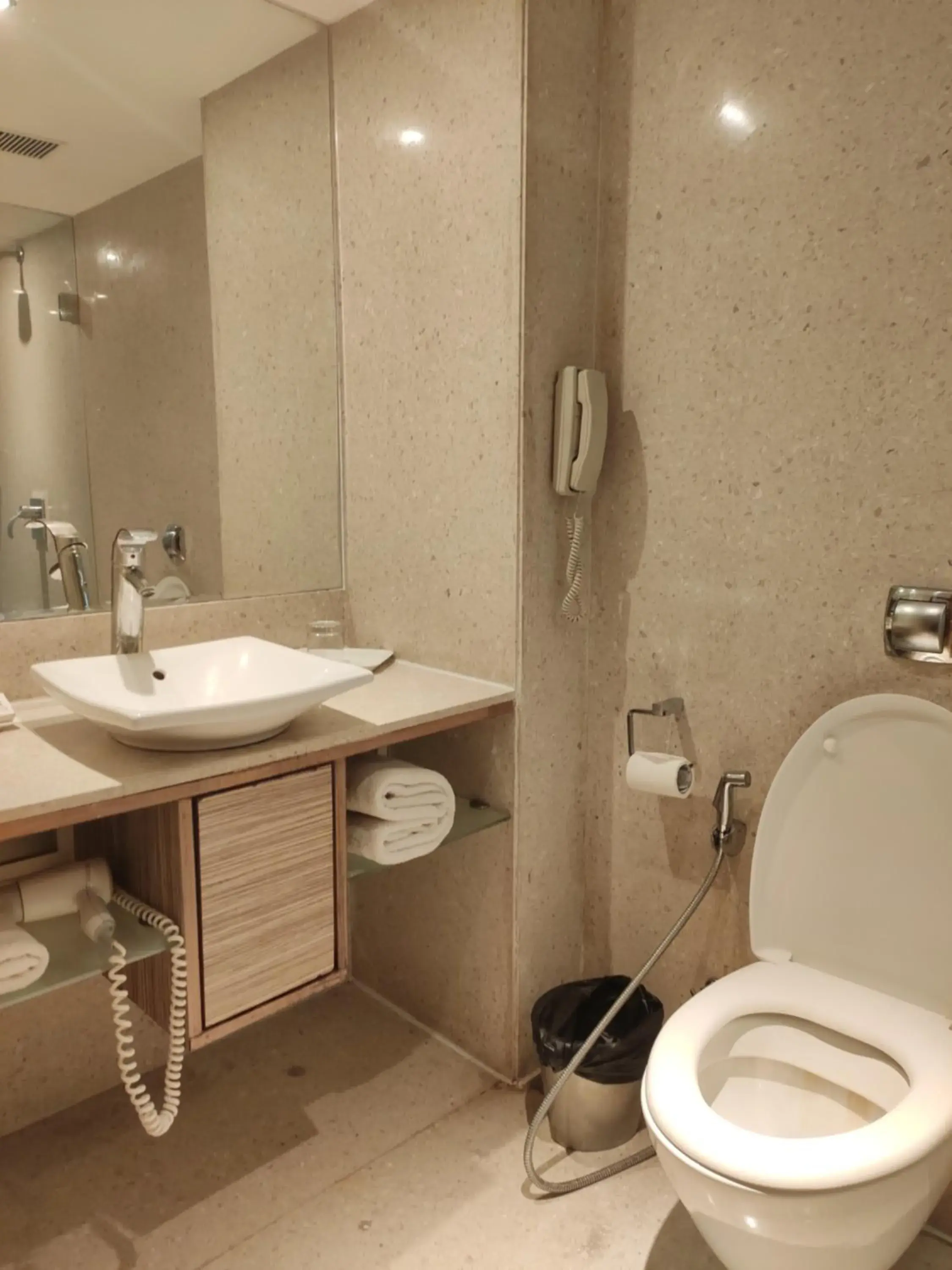 Bathroom in Pride Plaza Hotel, Ahmedabad