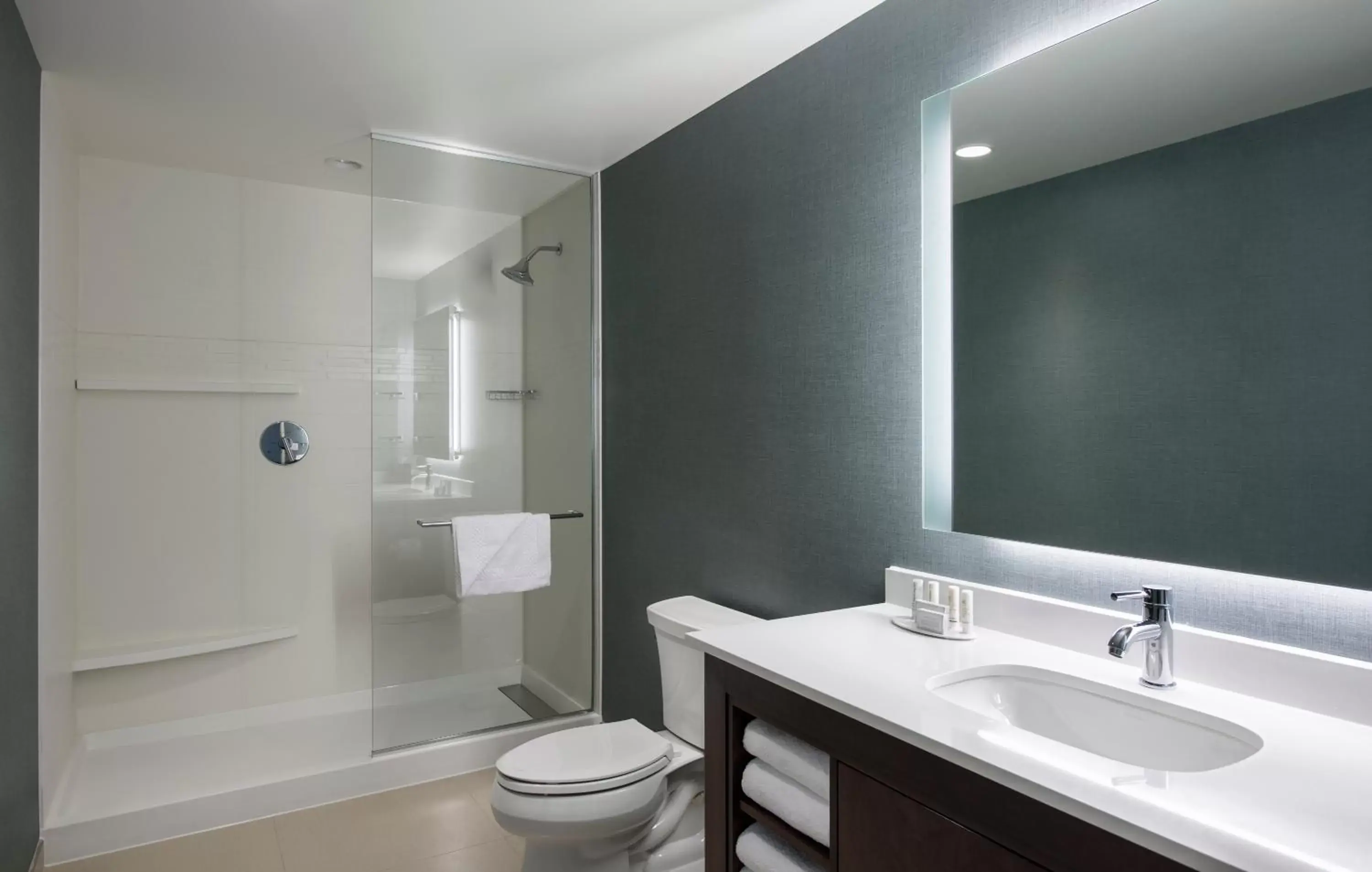 Shower, Bathroom in Residence Inn by Marriott Calgary South