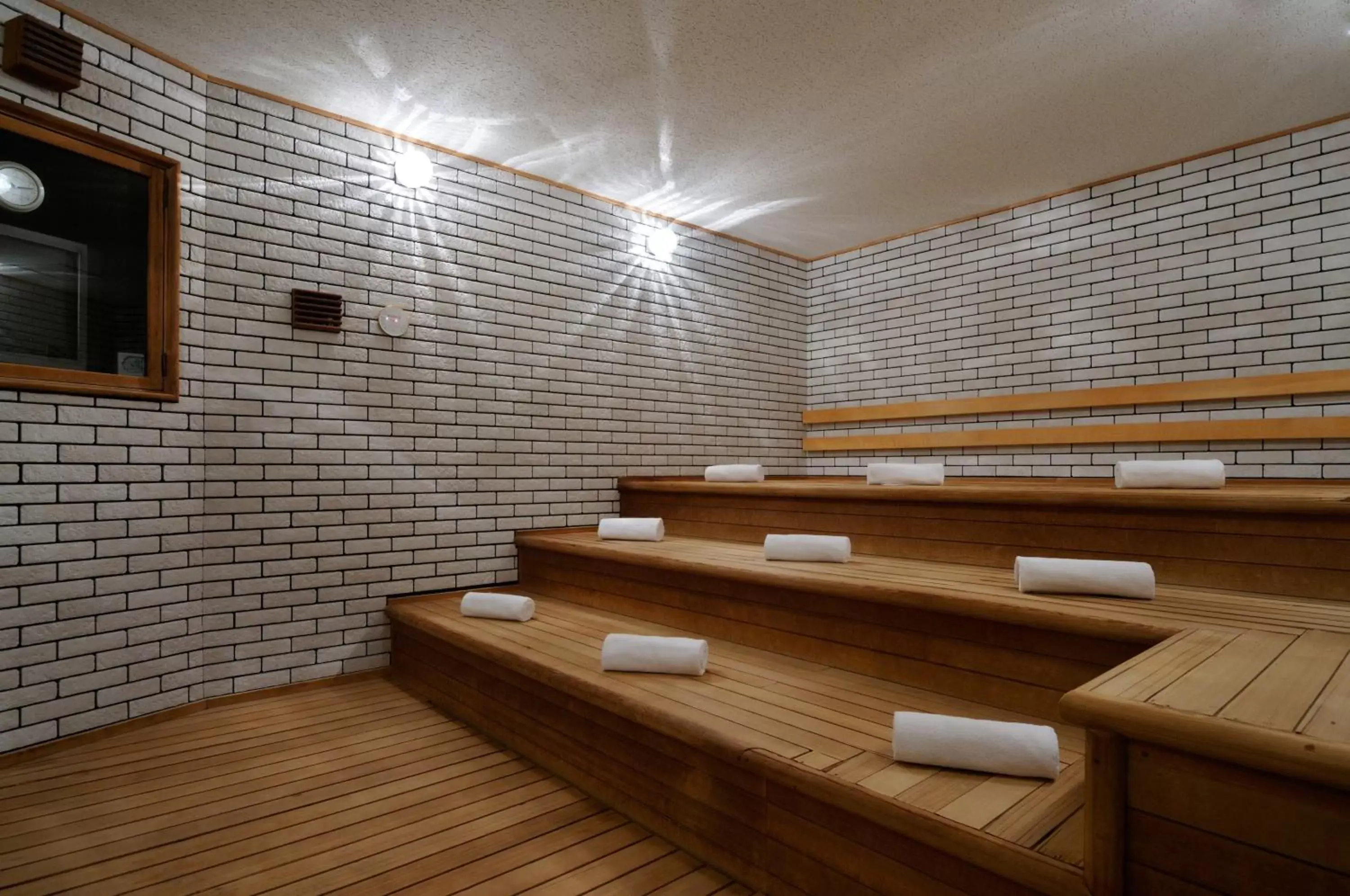 Sauna in Hotel Emisia Sapporo