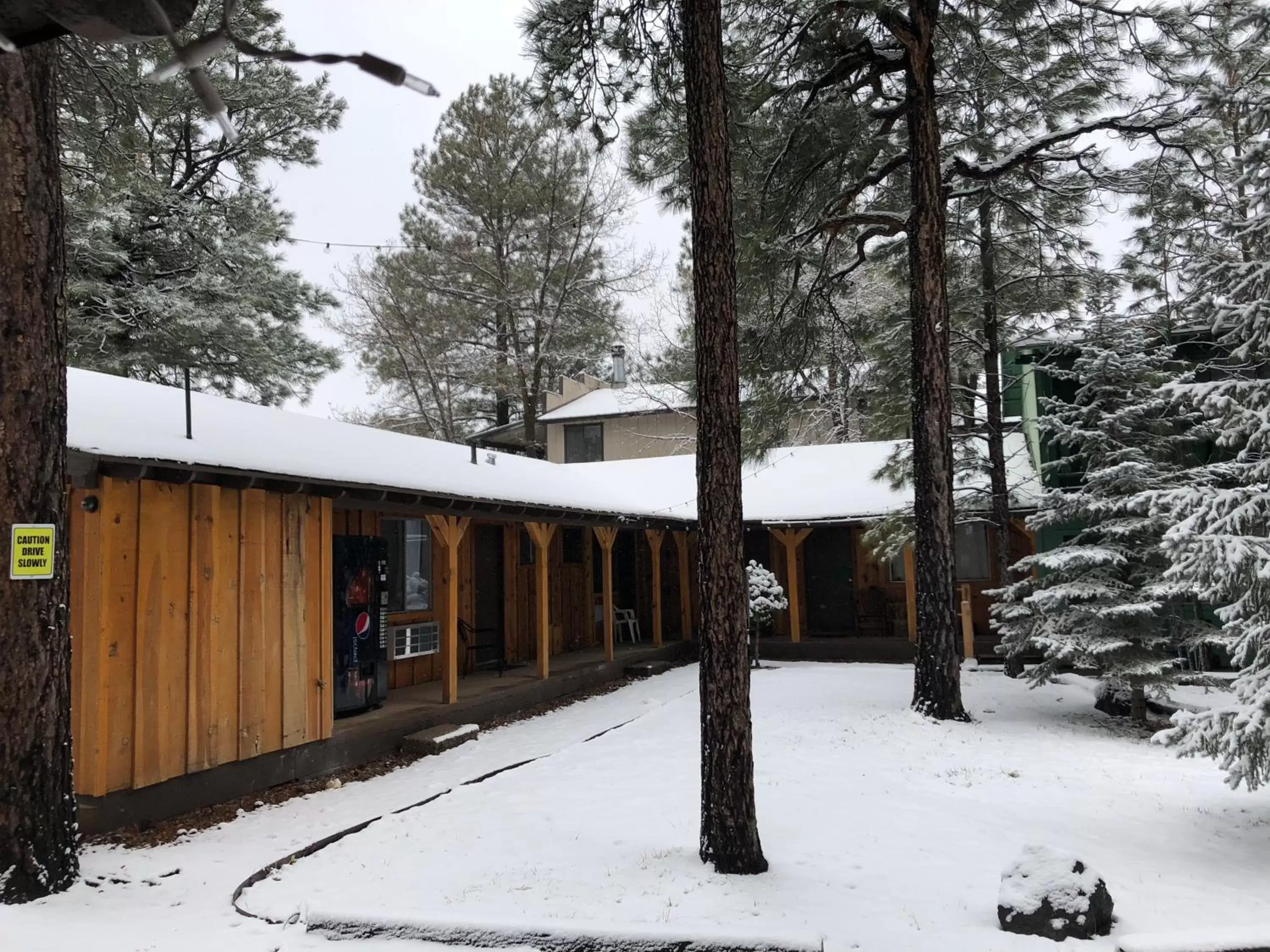 Winter in TimberLodge Inn