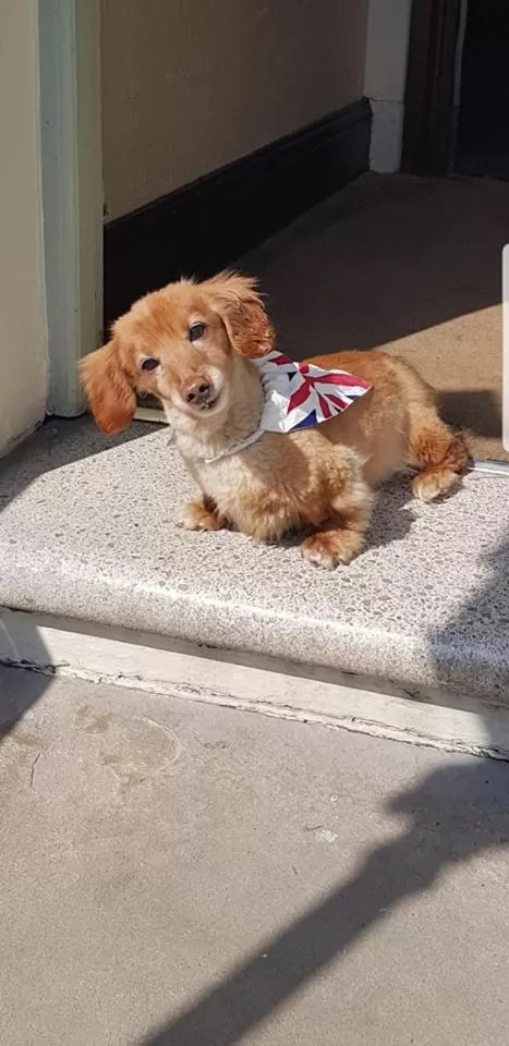 George and Dragon Ashbourne