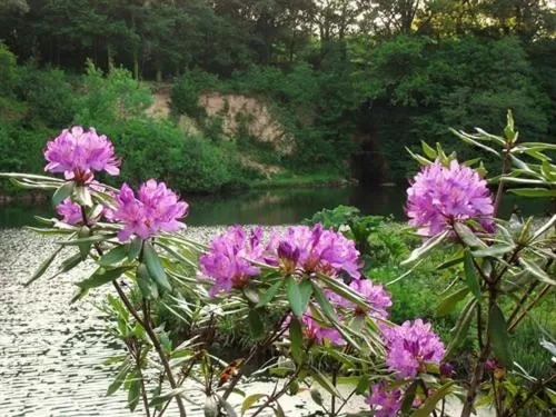 Activities in Lobhill Farmhouse Bed and Breakfast and Self Catering Accommodation