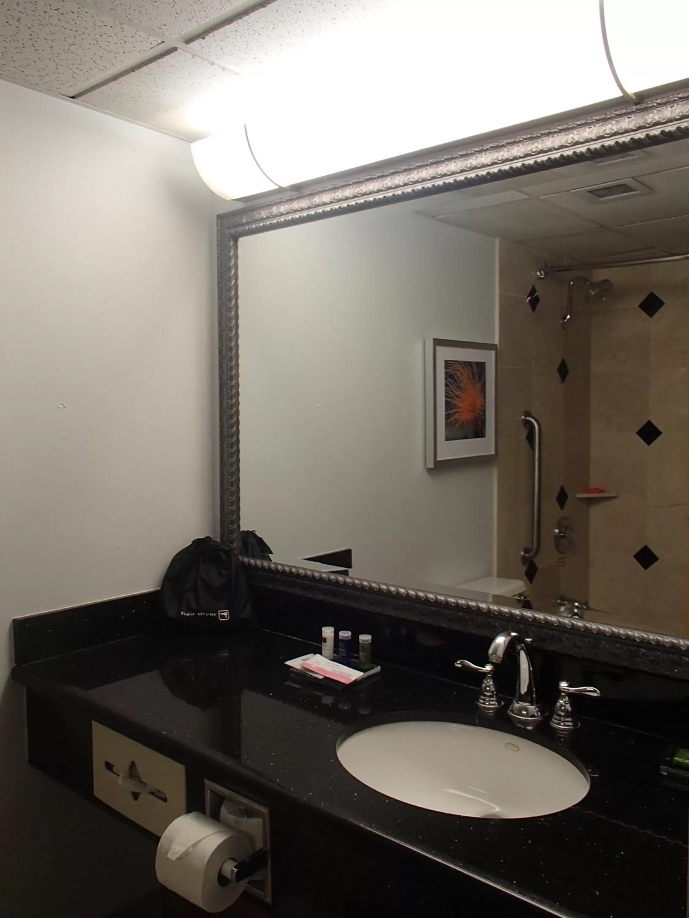 Bathroom in DoubleTree by Hilton Corpus Christi Beachfront