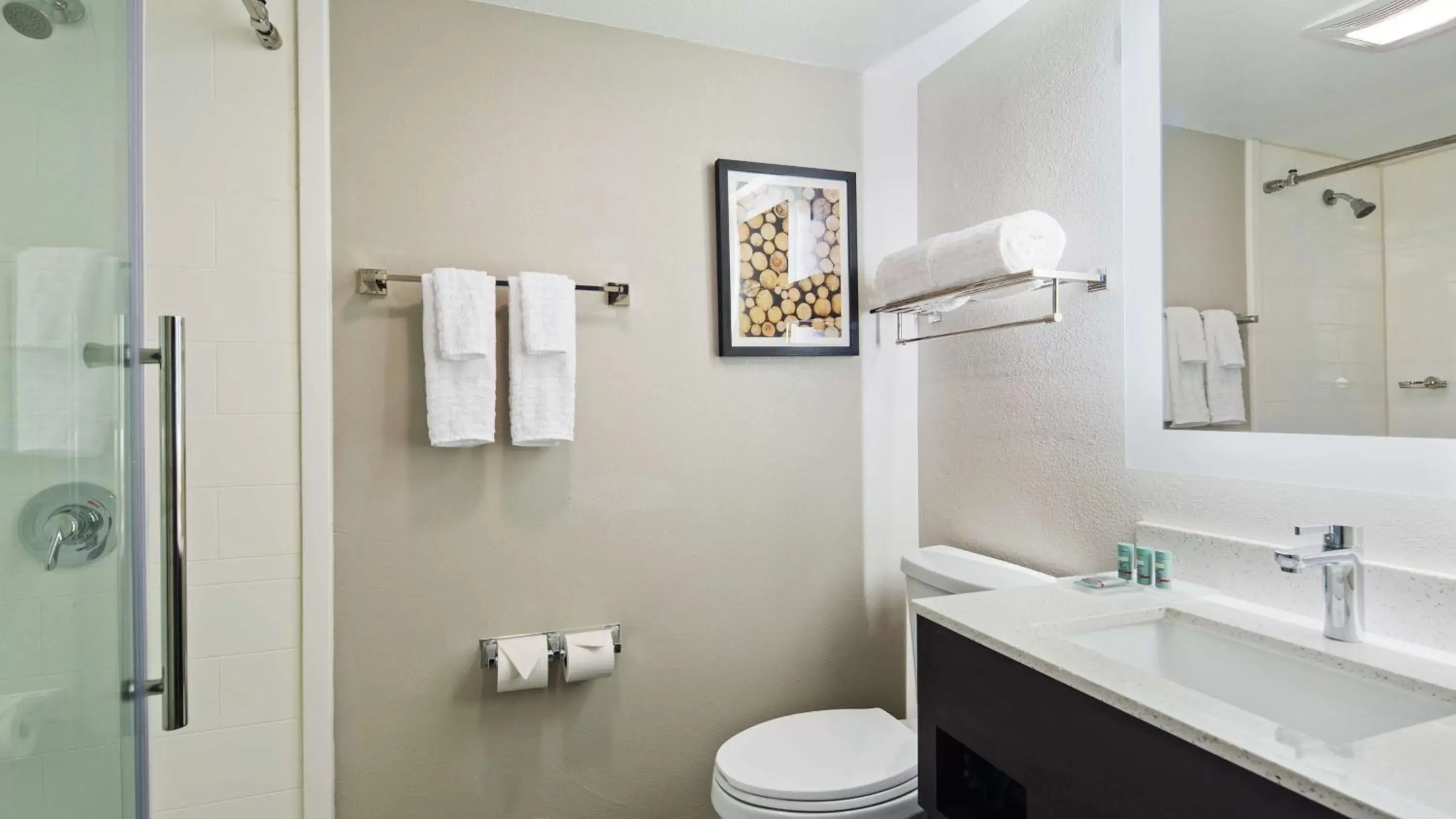 Bathroom in Best Western Atlanta-Marietta Ballpark Hotel