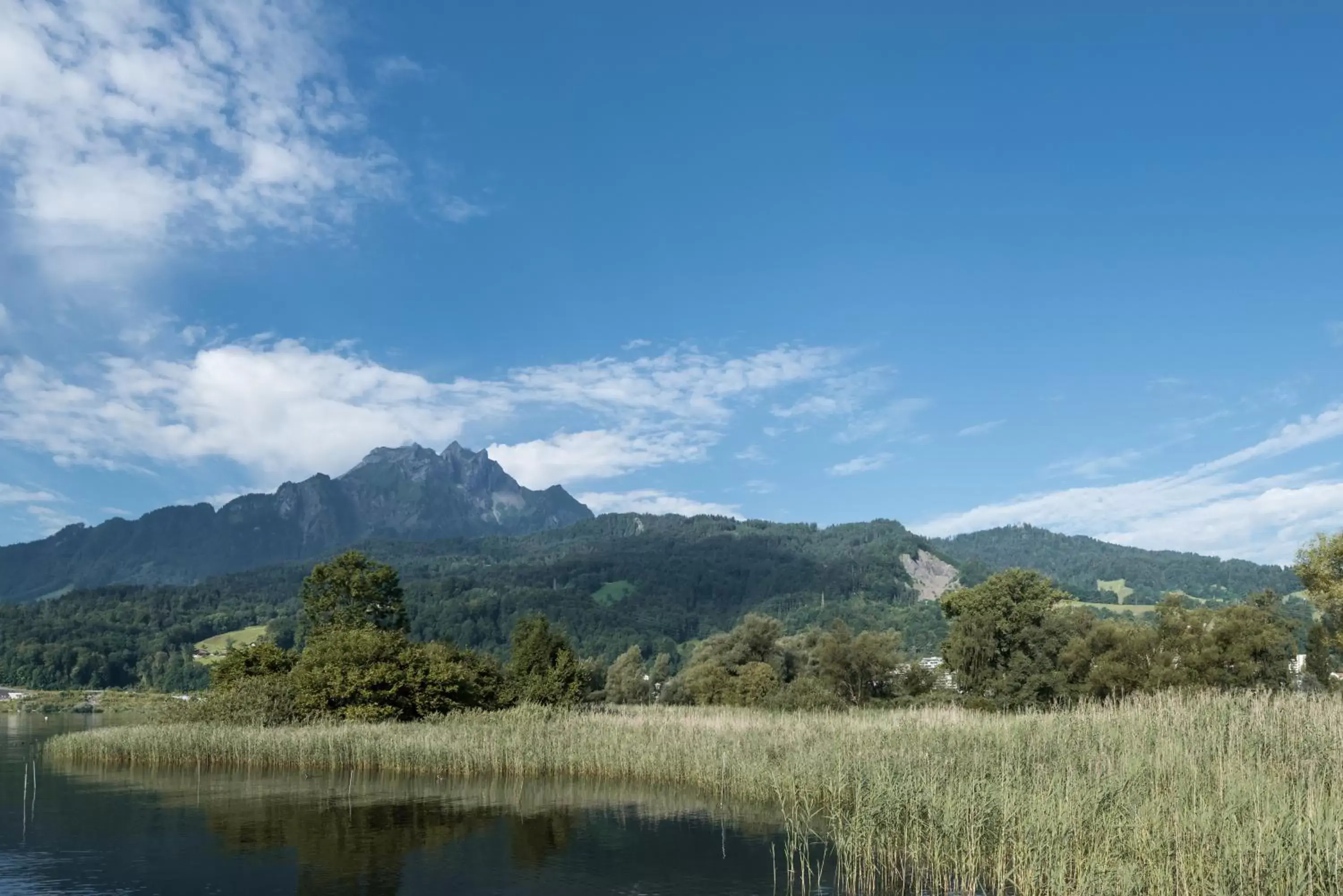 Lake view, Natural Landscape in Seehotel Sternen