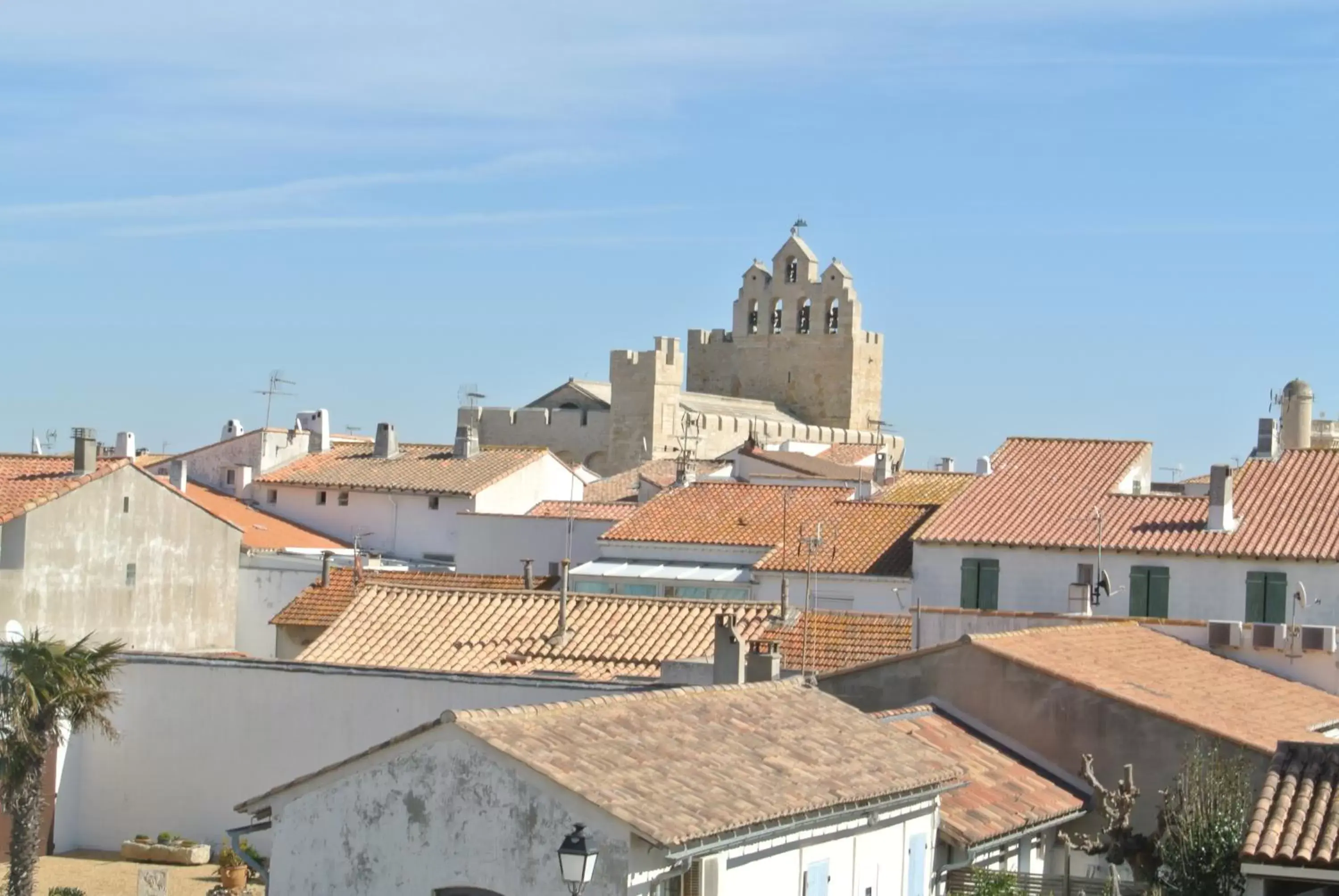 Area and facilities in Hotel Les Palmiers En Camargue