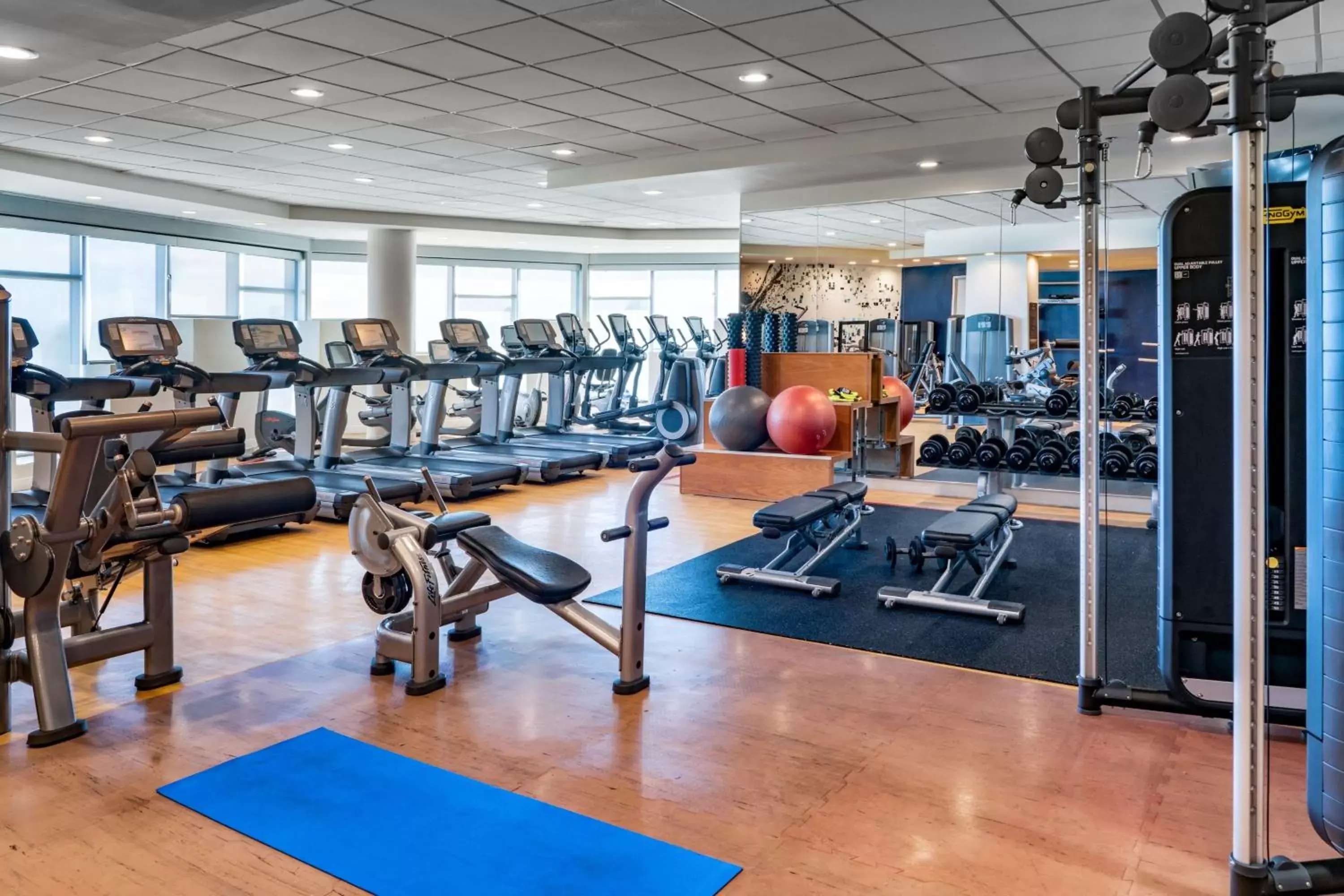 Fitness centre/facilities, Fitness Center/Facilities in Sheraton Puerto Rico Resort & Casino