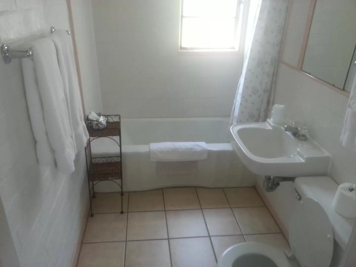 Bathroom in Bishop Village Motel