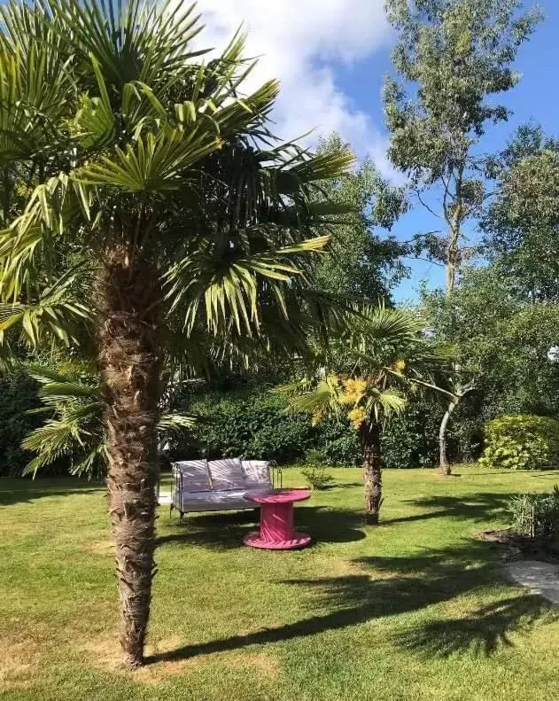 Garden in chambre chez l habitant