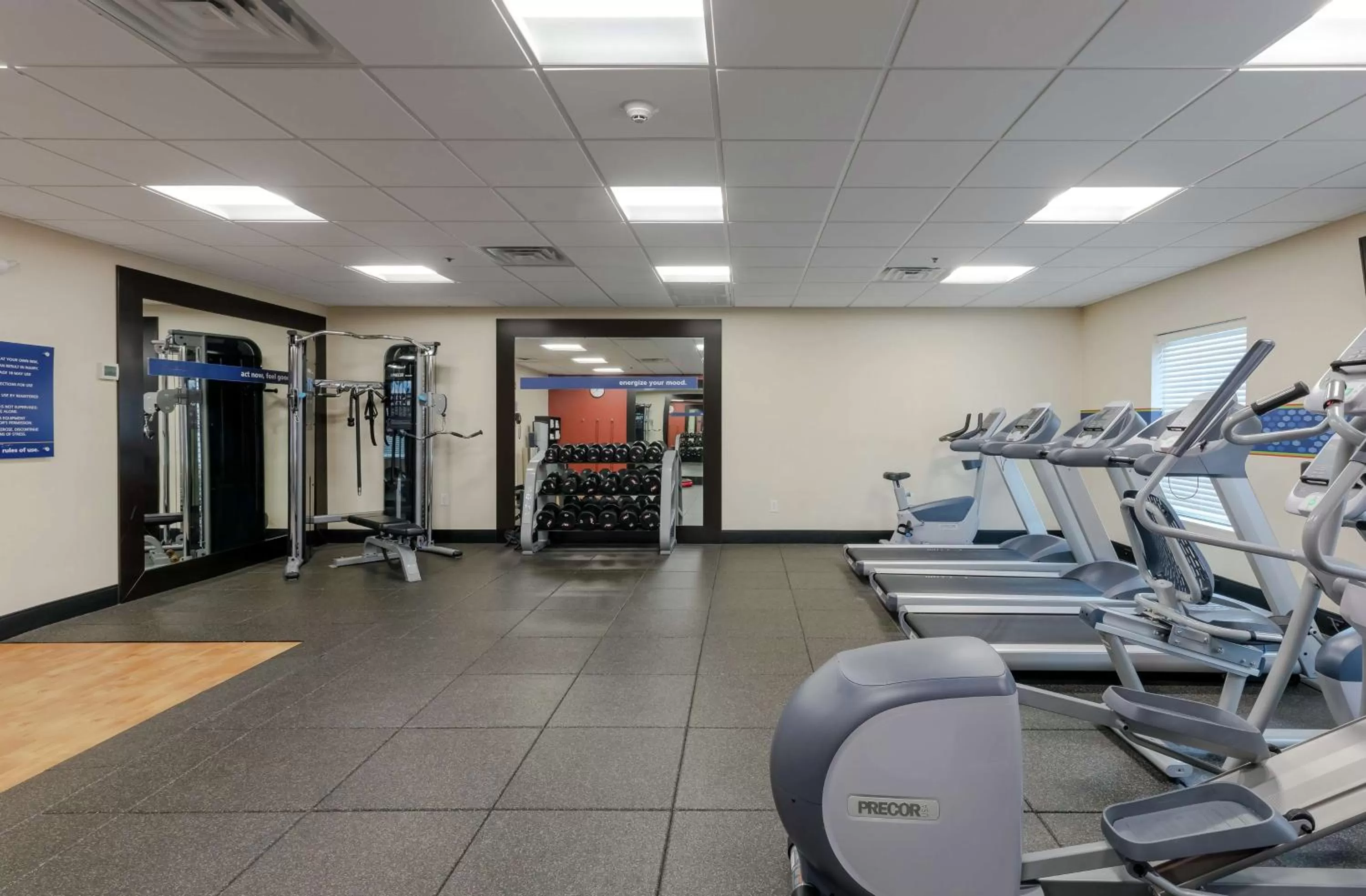 Fitness centre/facilities in Hampton Inn Emerson - Lakepoint, Ga