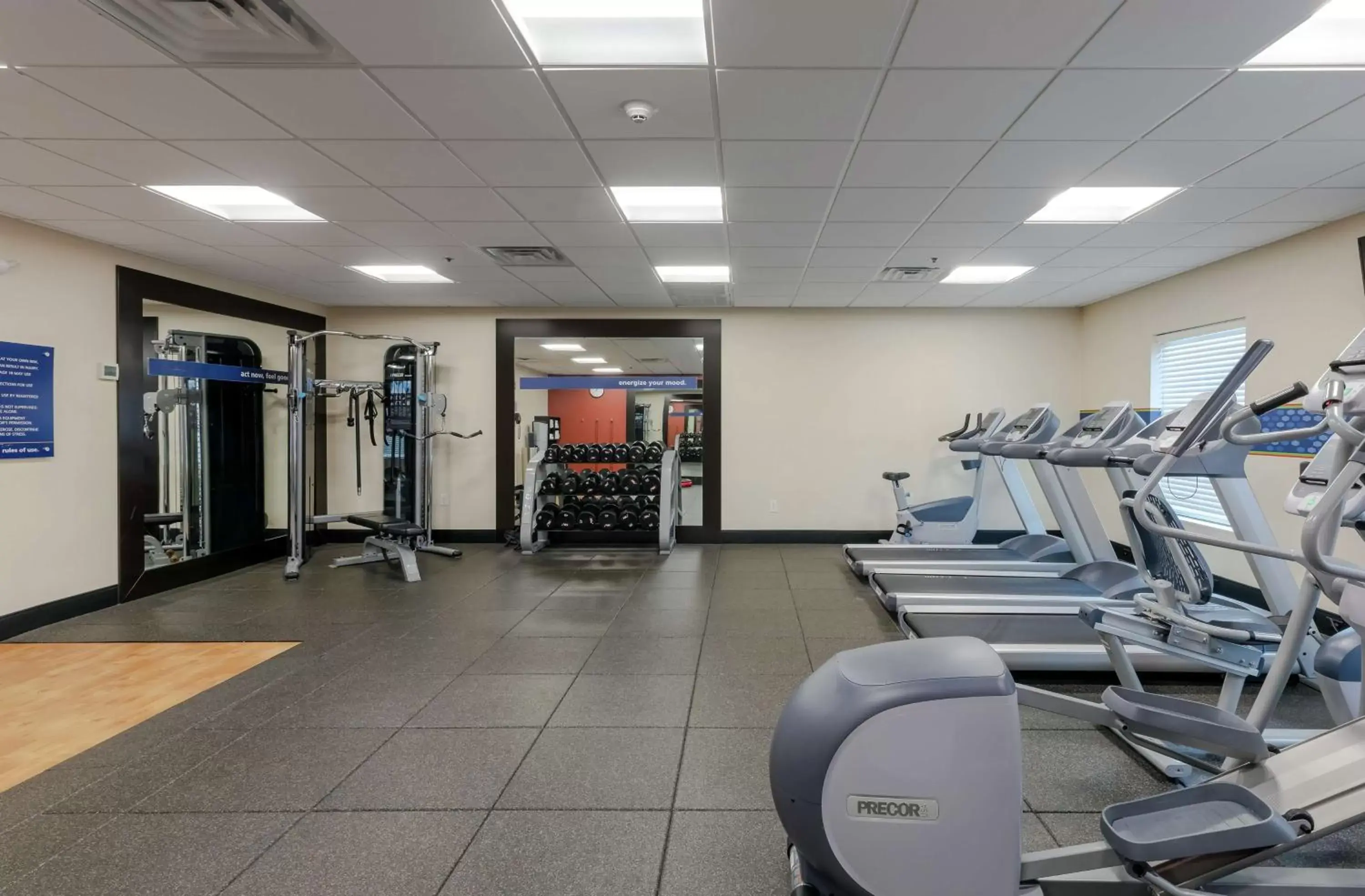 Fitness centre/facilities, Fitness Center/Facilities in Hampton Inn Emerson - Lakepoint, Ga