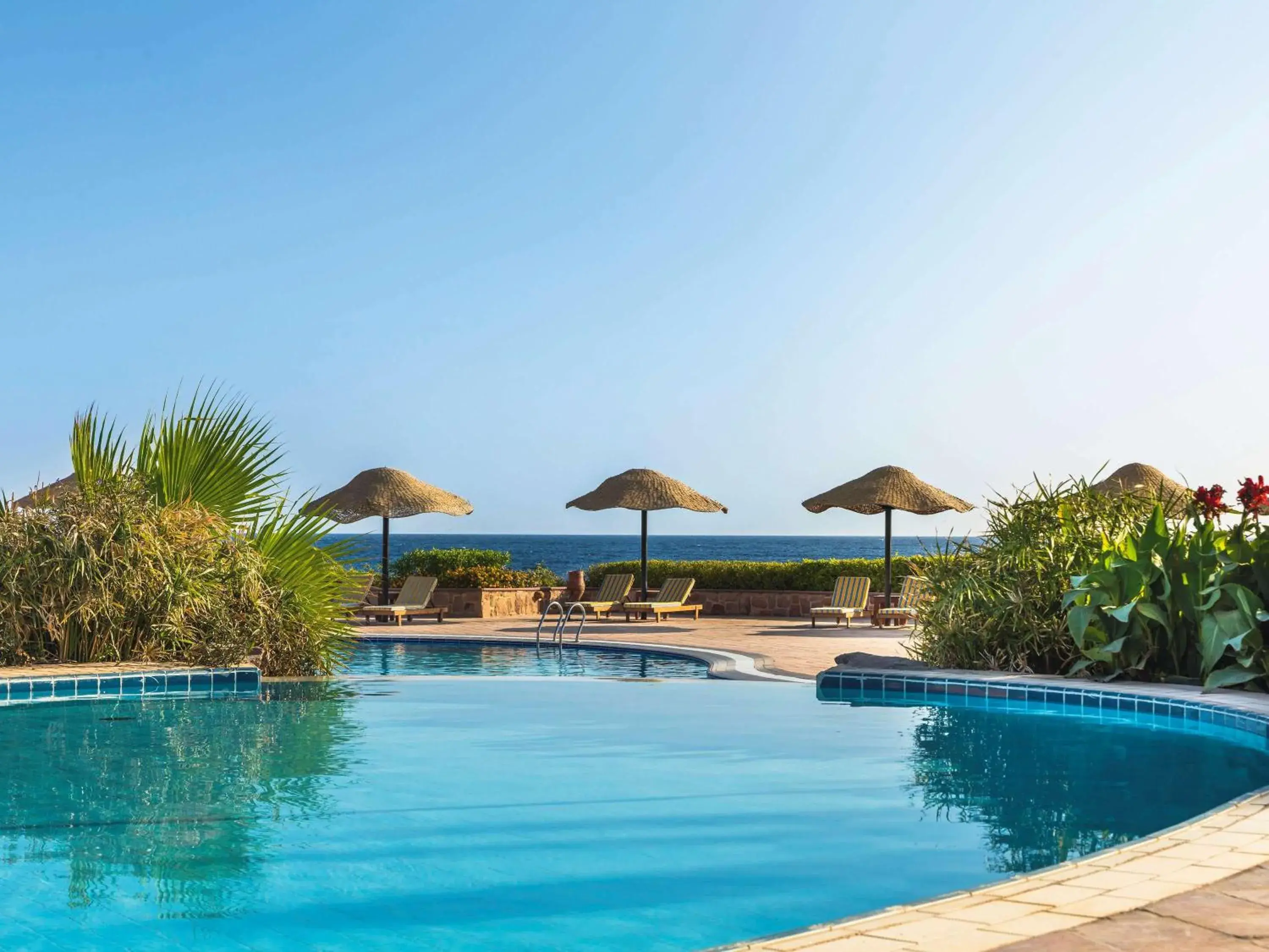 Activities, Swimming Pool in Movenpick Resort El Quseir