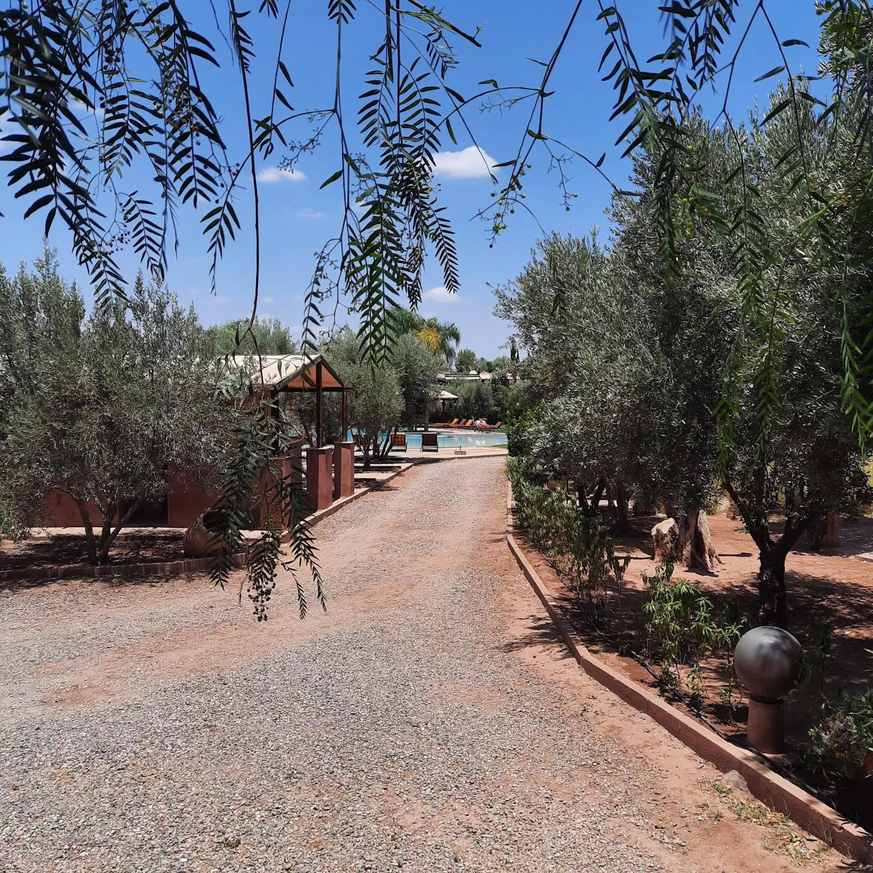 Pool view in Résidence Habiba