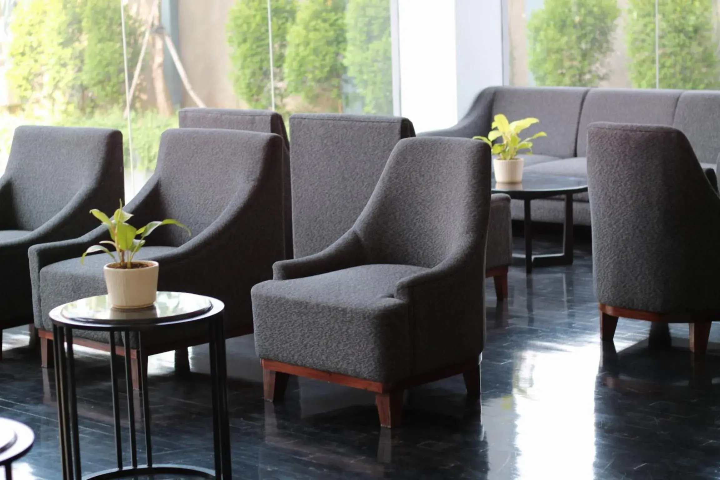 Lounge or bar in Samala Hotel Jakarta Cengkareng