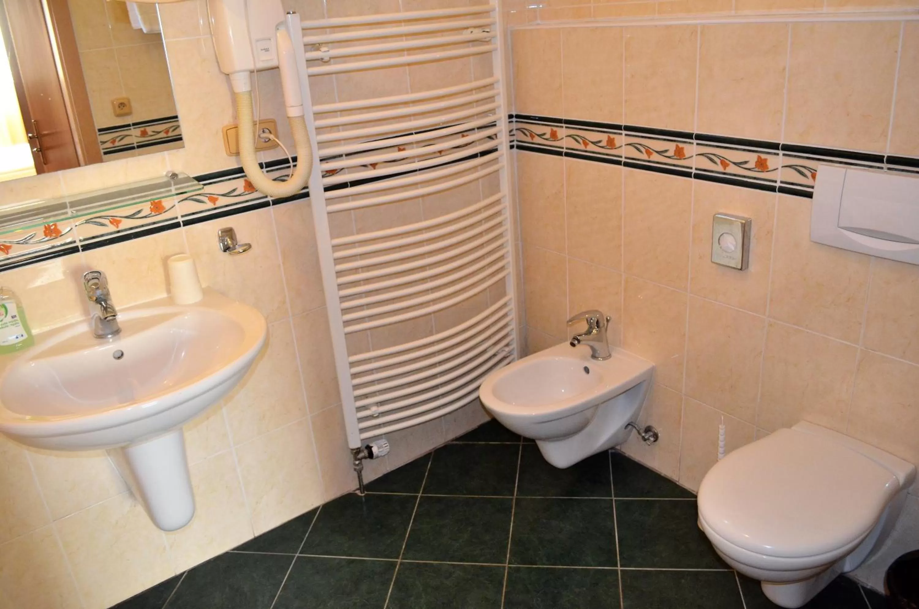 Toilet in Hotel Petr