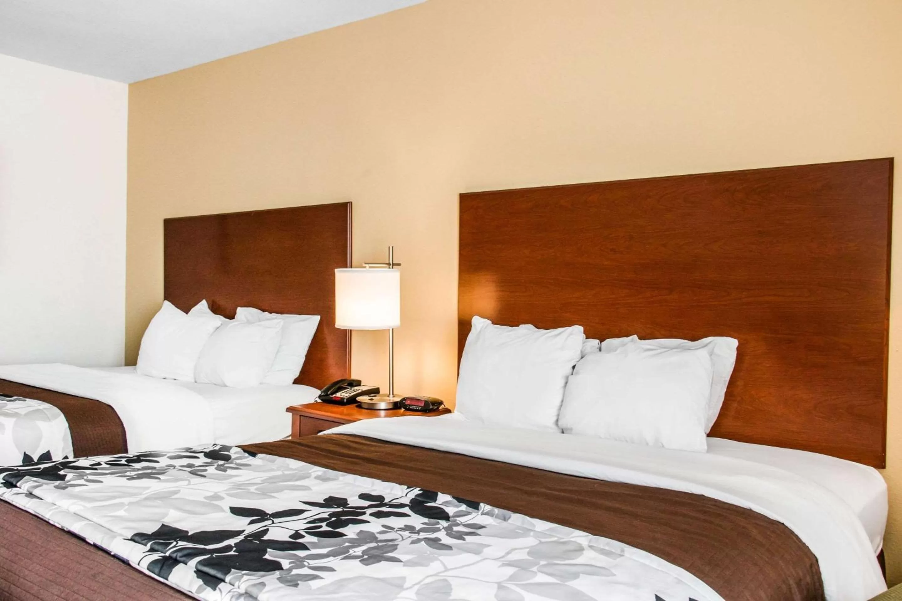 Photo of the whole room, Bed in Sleep Inn & Suites Pooler