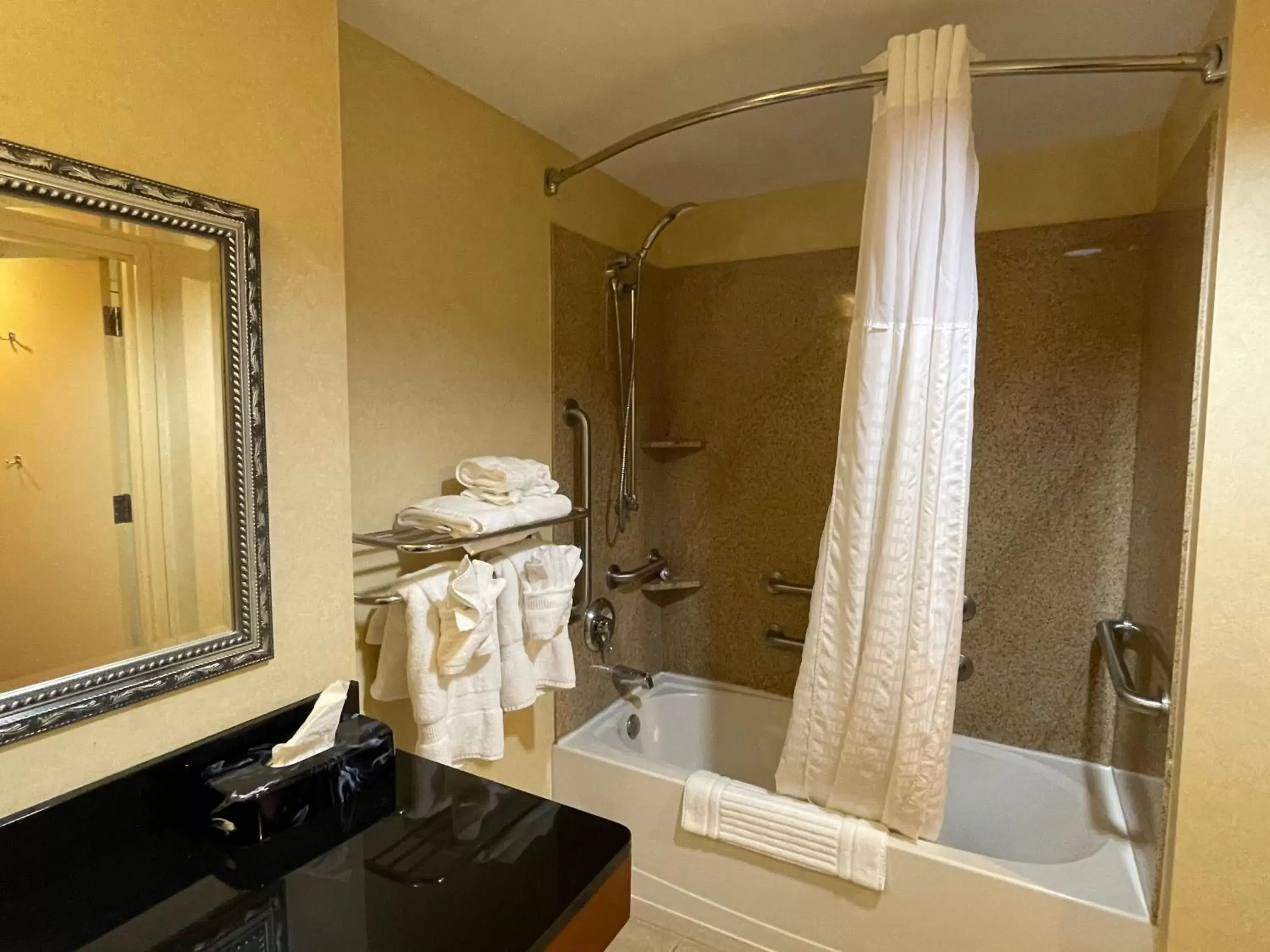 Bathroom in Comfort Suites Fredericksburg North