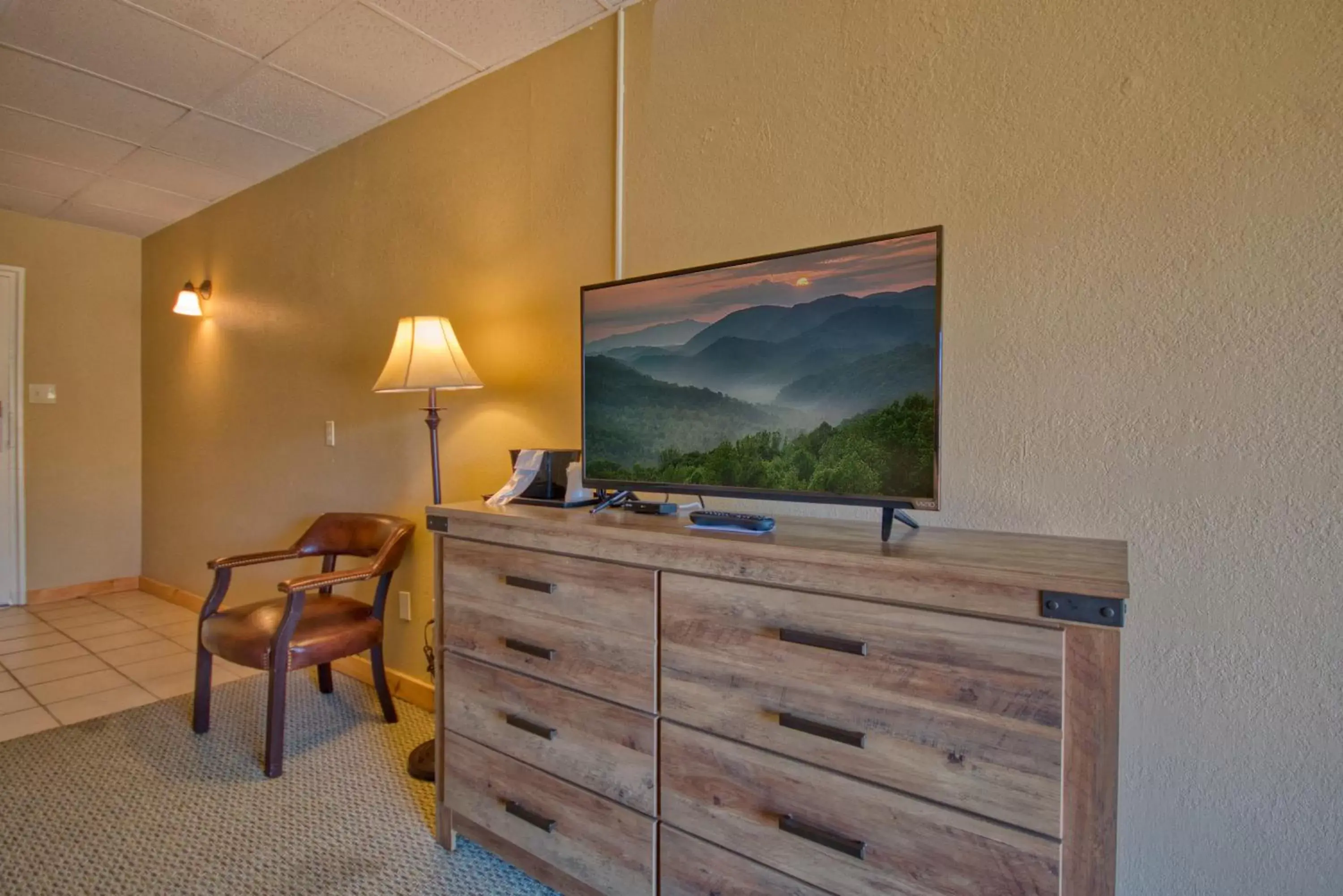 TV and multimedia, TV/Entertainment Center in Tremont Lodge & Resort