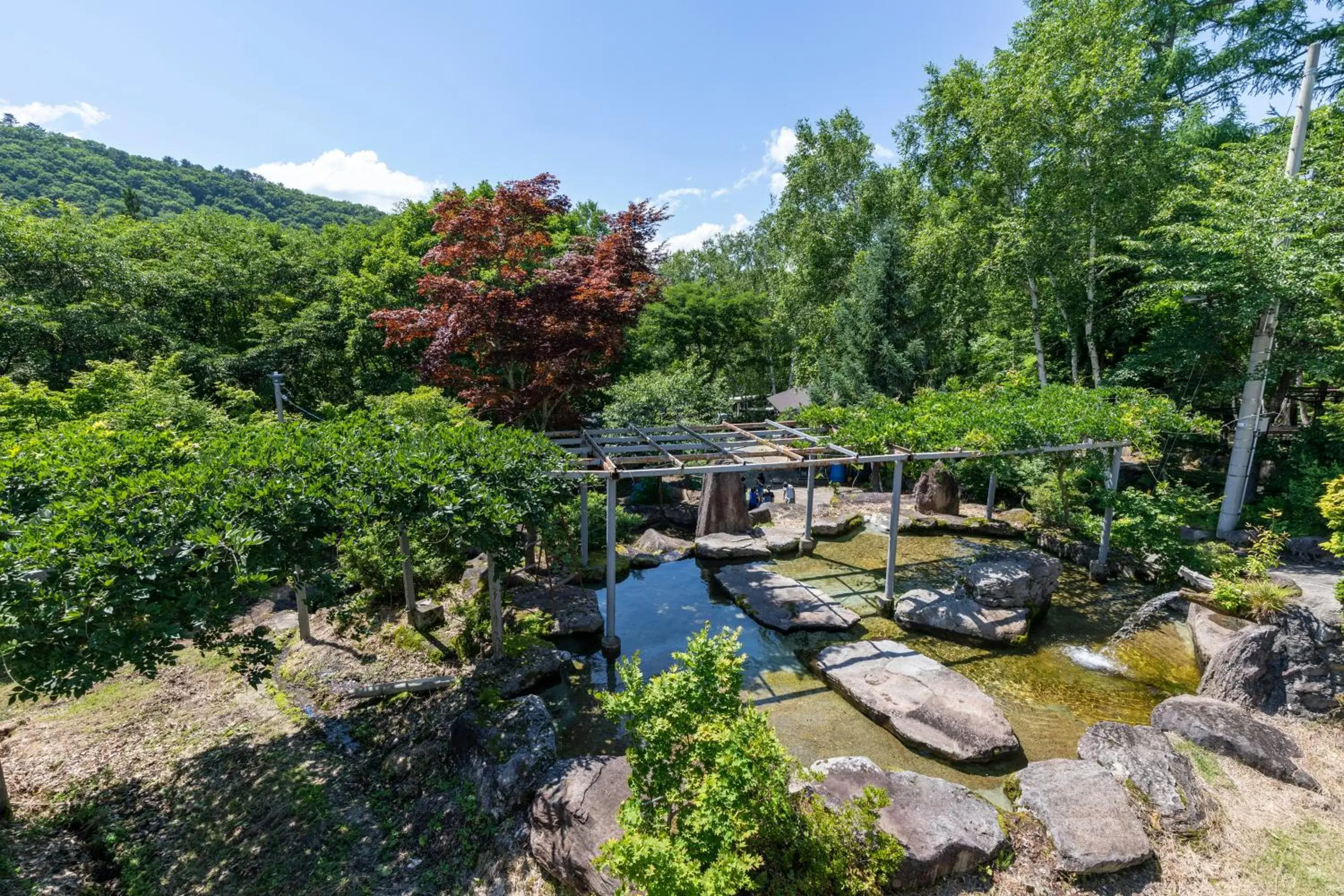 Natural landscape in Hotel Tagawa