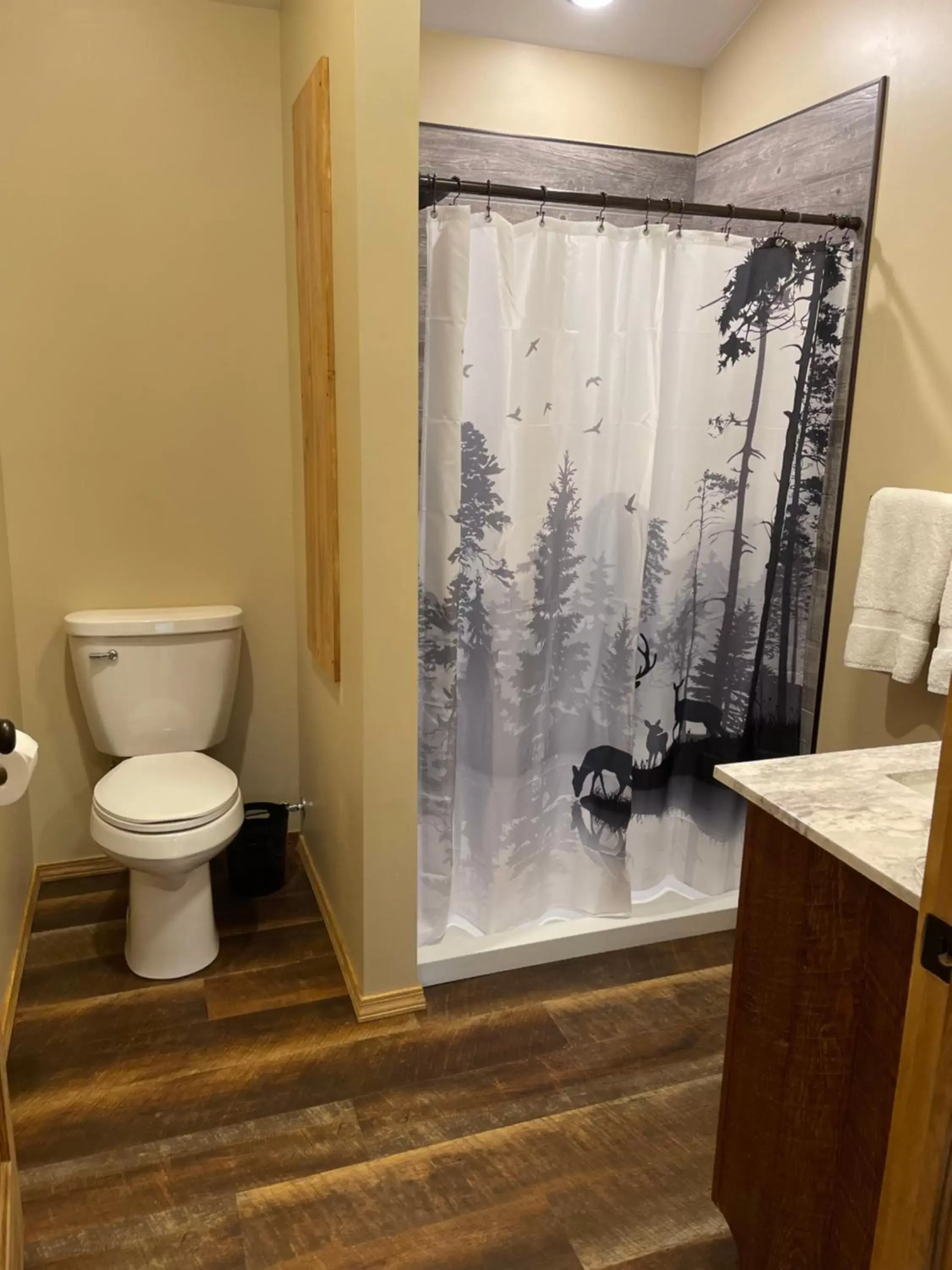 Toilet, Bathroom in Rough Cut Lodge