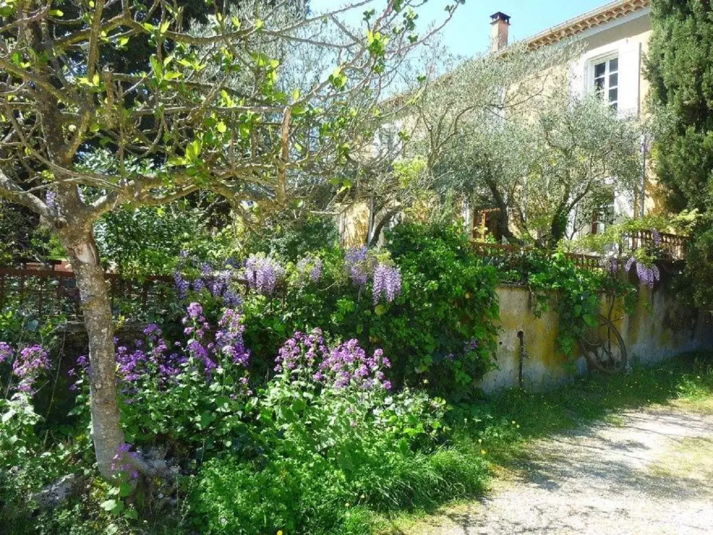 Garden in Le Fer en Cèze