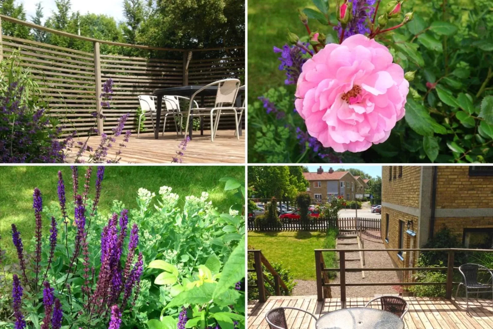 Garden in Aurora Bed & Breakfast