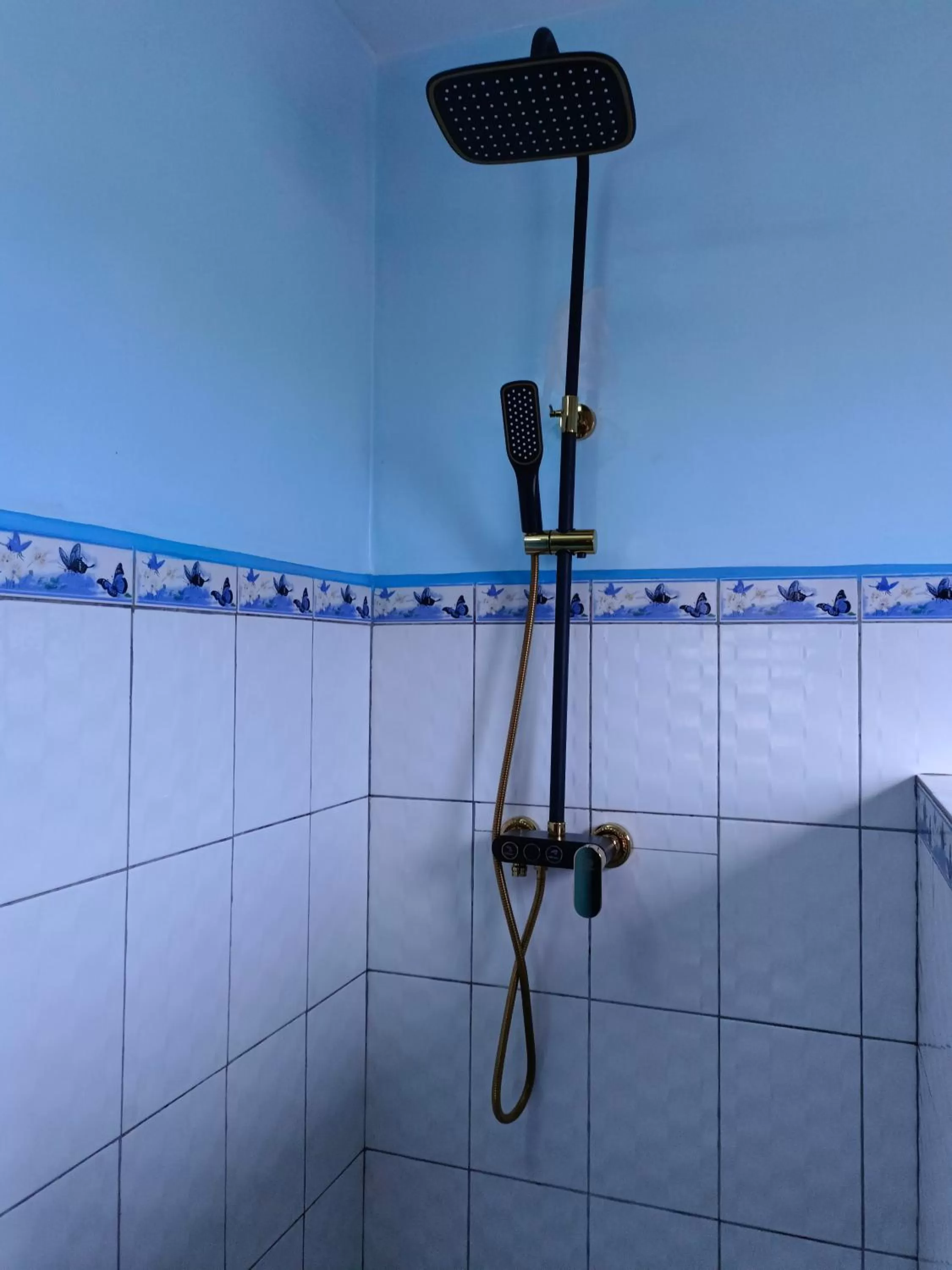 Shower in Antsirabe Hotel