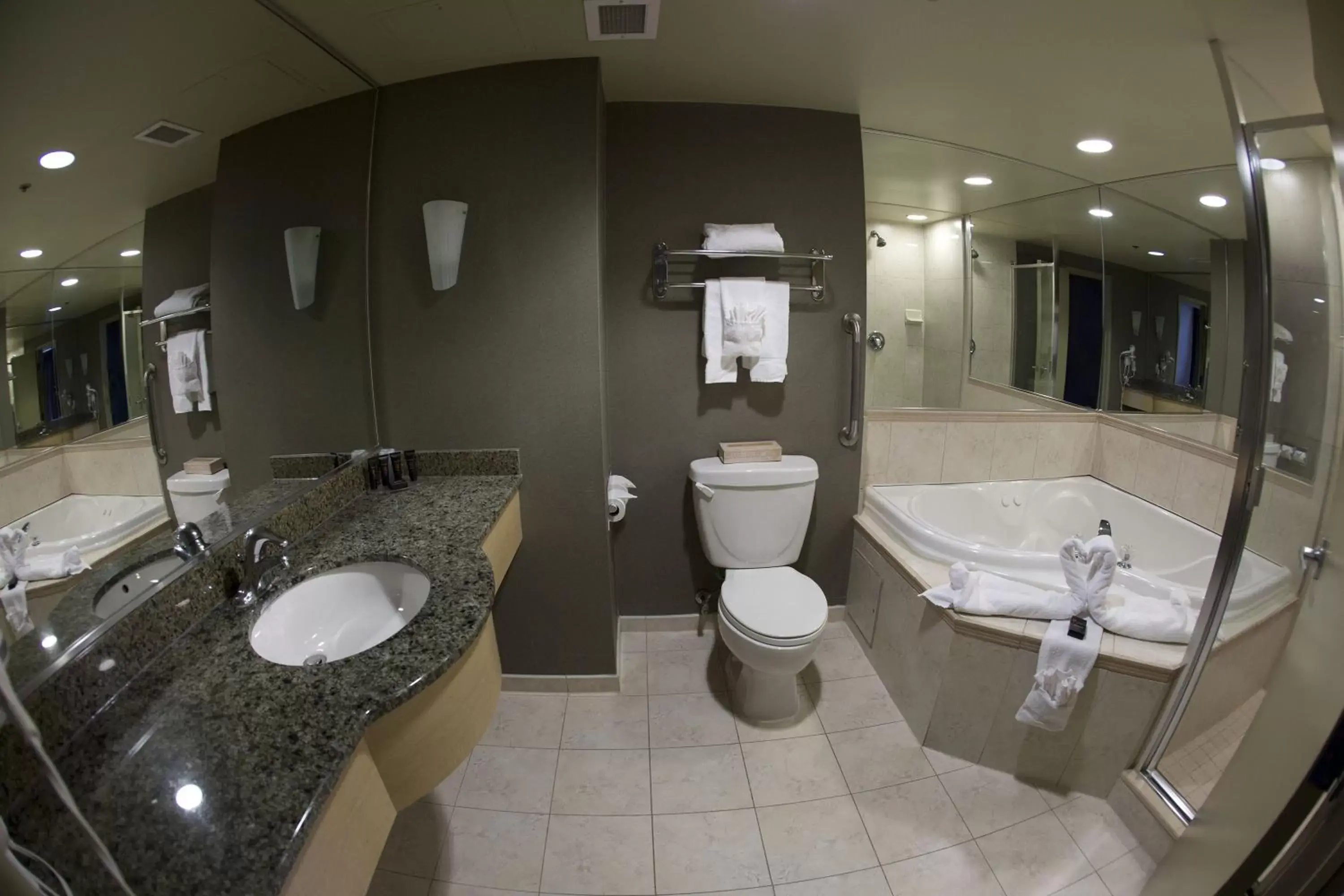 Bathroom in The Oakes Hotel Overlooking the Falls