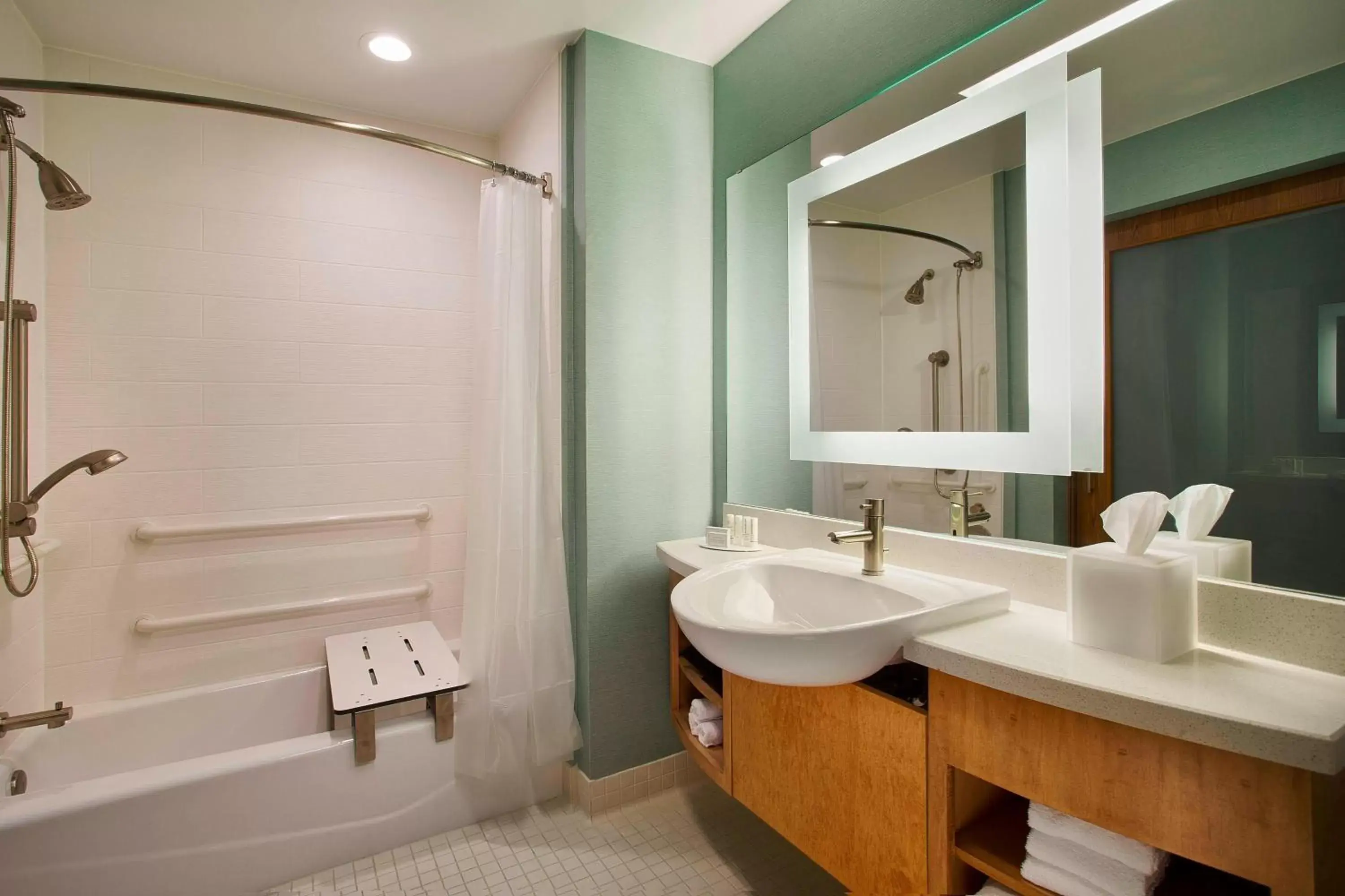 Bathroom in SpringHill Suites by Marriott Houston Downtown/Convention Center