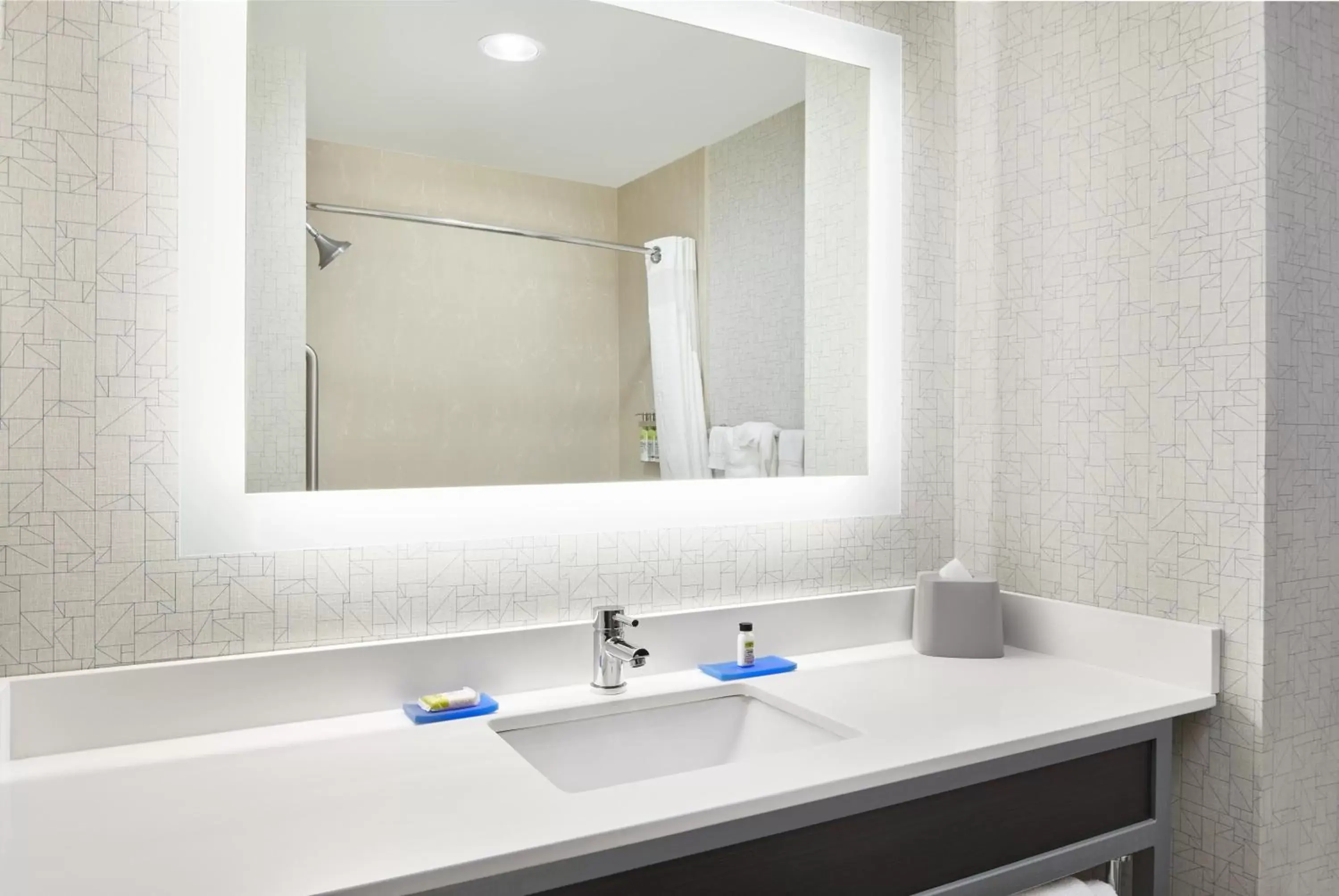 Bathroom in Holiday Inn Express & Suites - Spartanburg-North, an IHG Hotel
