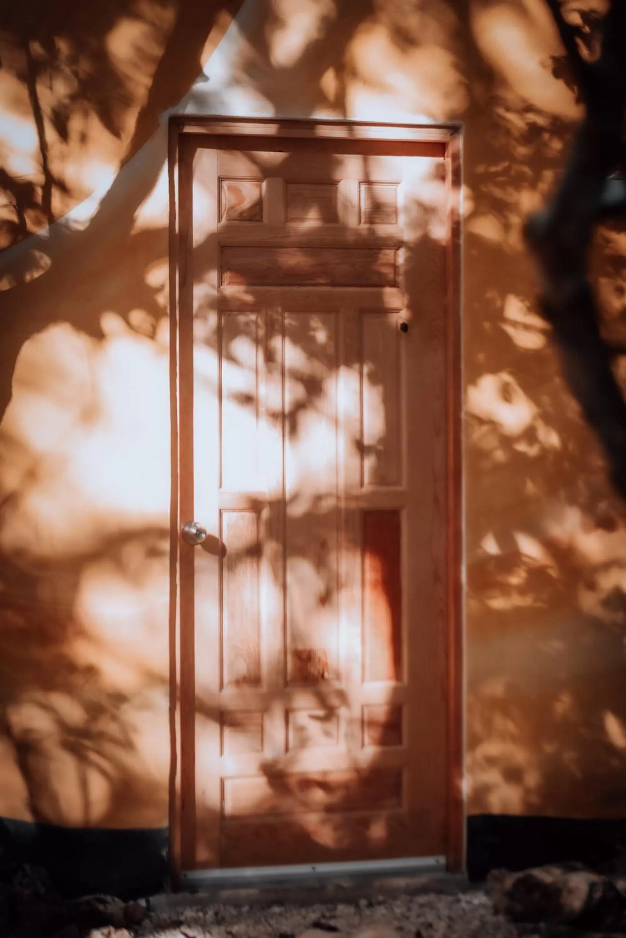 Facade/entrance in Lunita Jungle Experience