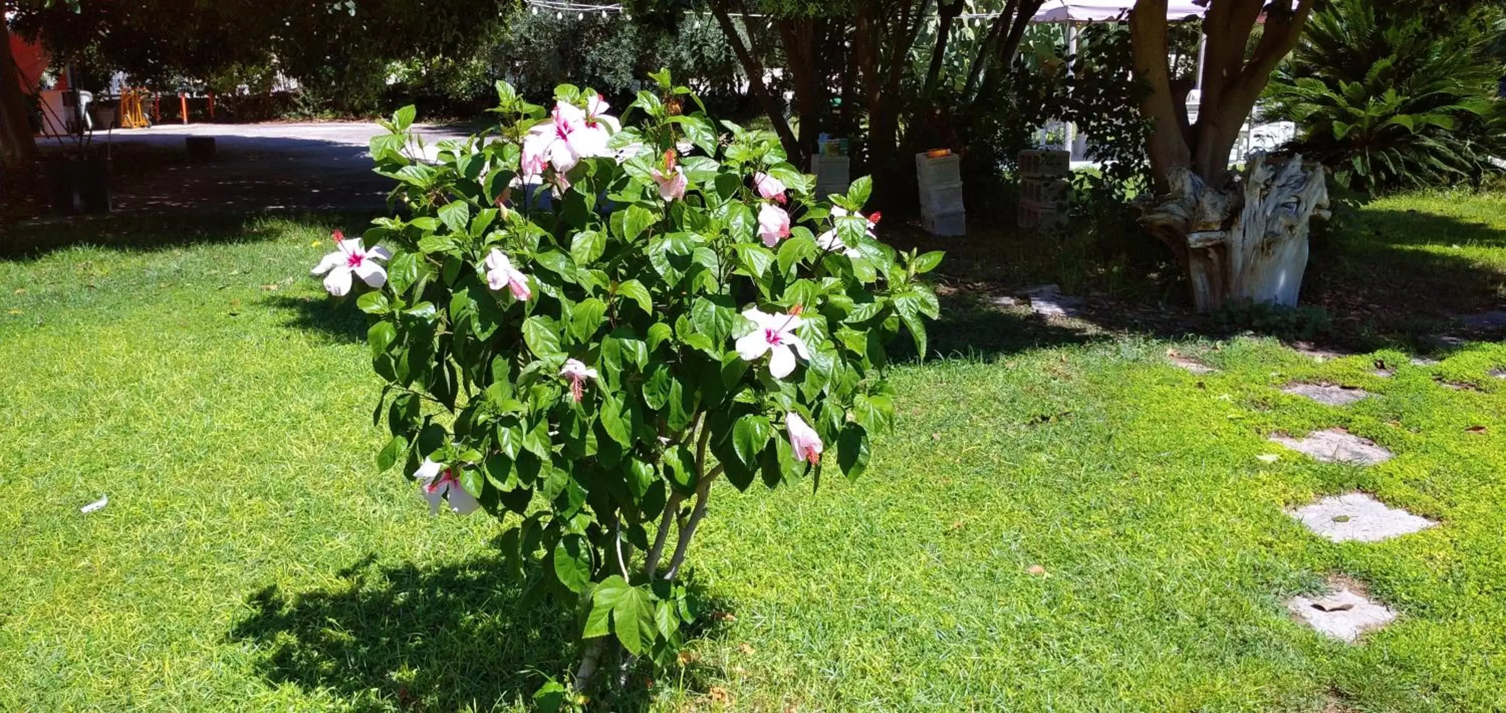 Garden in B&B Leonida