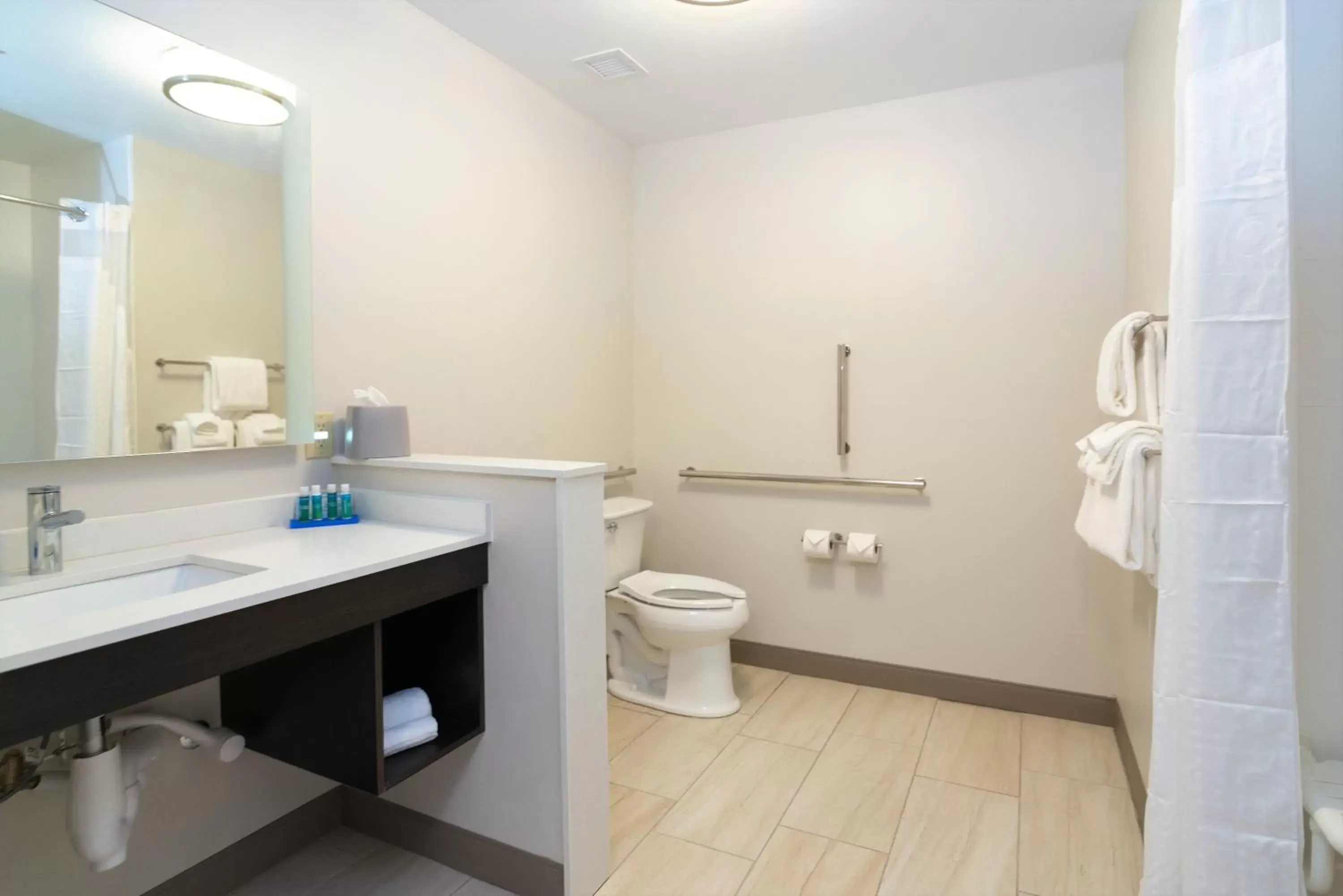 Bathroom in Holiday Inn Express & Suites Allen Park, an IHG Hotel