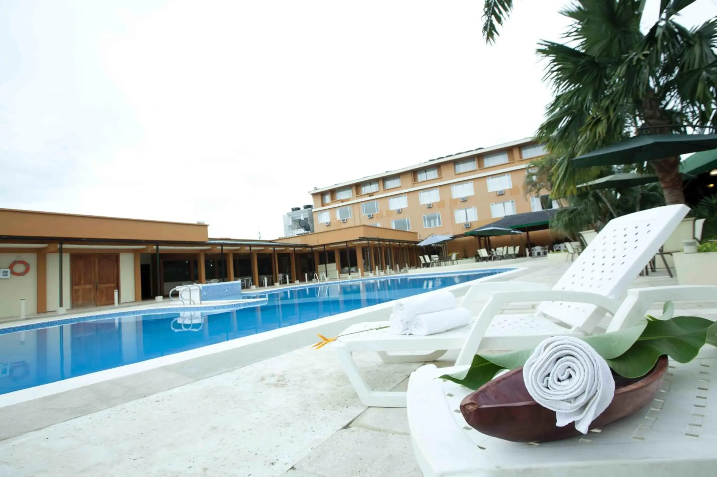 Natural landscape, Swimming Pool in Hotel Anaconda