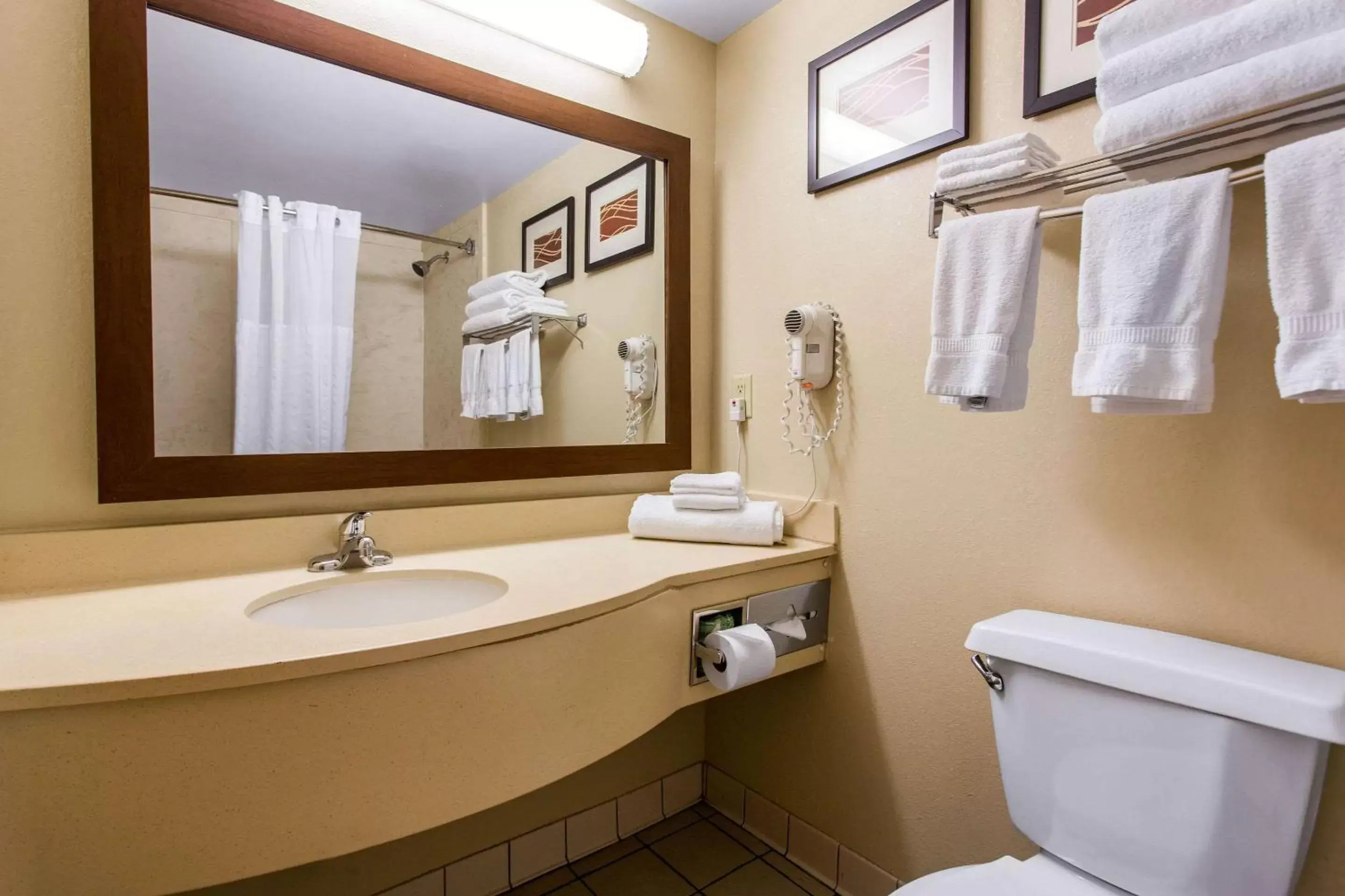 Toilet, Bathroom in Comfort Suites Wilmington near Downtown