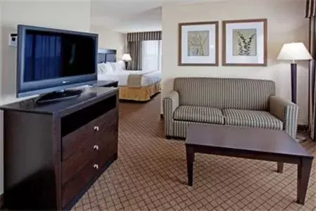 Bedroom, Seating Area in Holiday Inn Express and Suites Newberry, an IHG Hotel