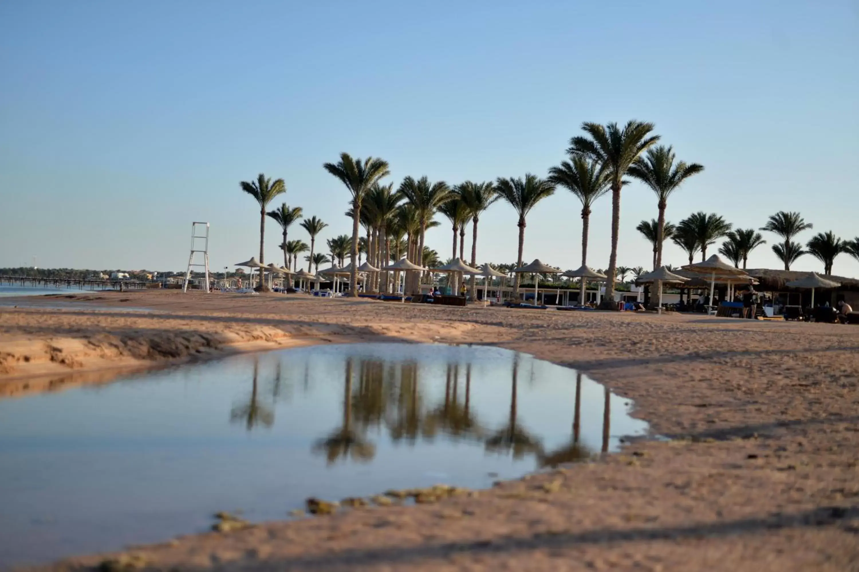 Beach in Aurora Oriental Resort Sharm El Sheikh