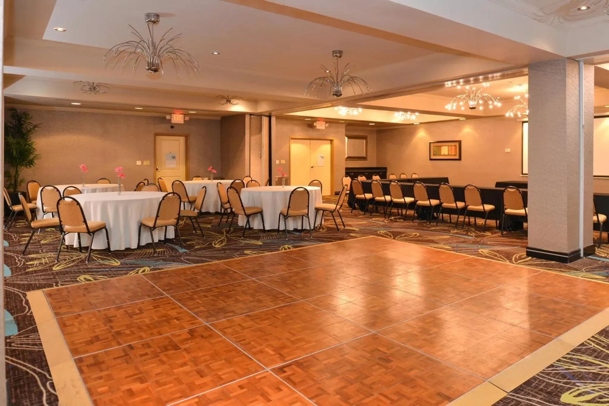 Meeting/conference room, Banquet Facilities in Holiday Inn Express Hotel & Suites Dallas South - DeSoto, an IHG Hotel