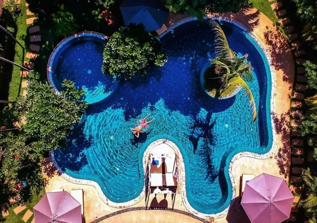 Bird's eye view, Pool View in Navutu Dreams Resort & Wellness Retreat