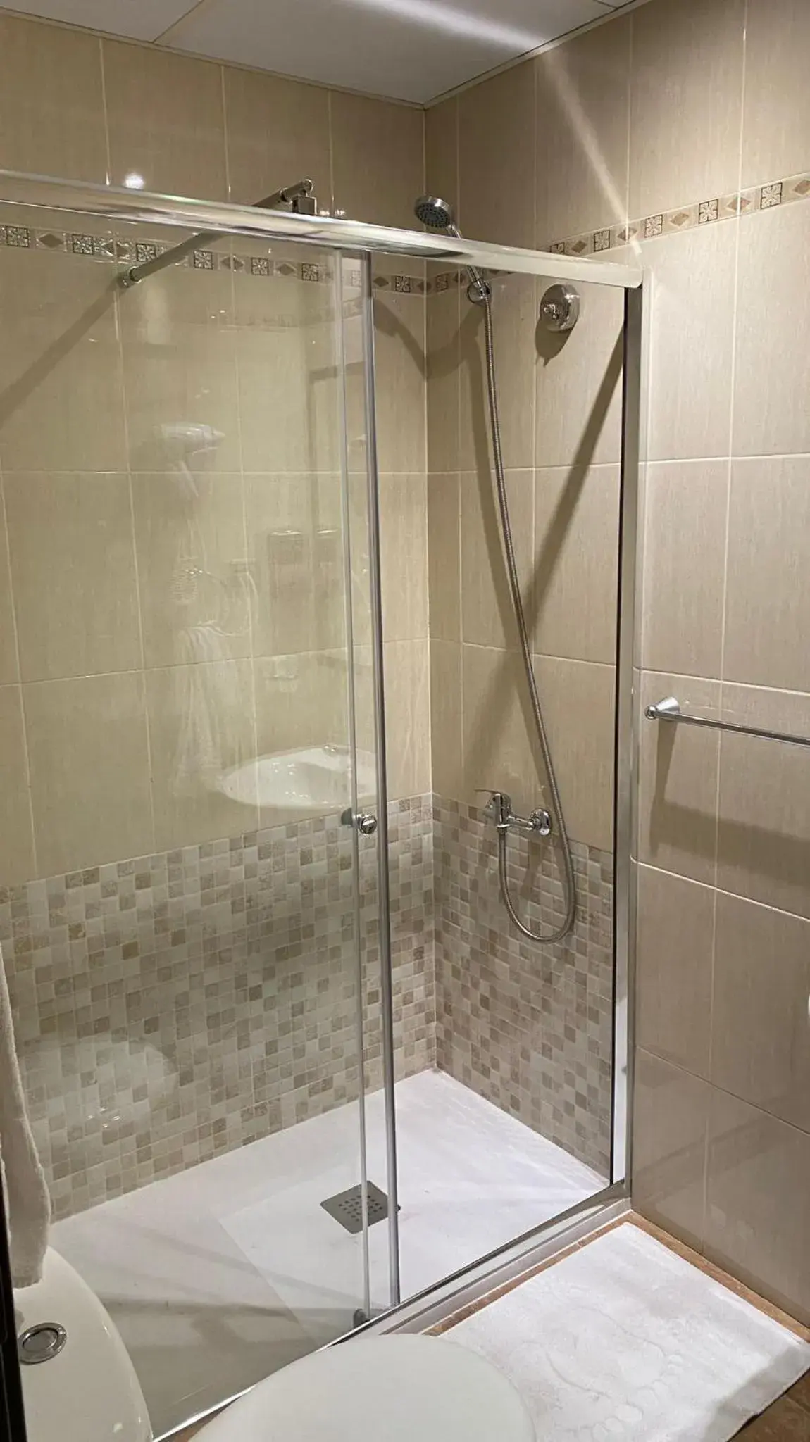 Shower, Bathroom in Hotel Complutense