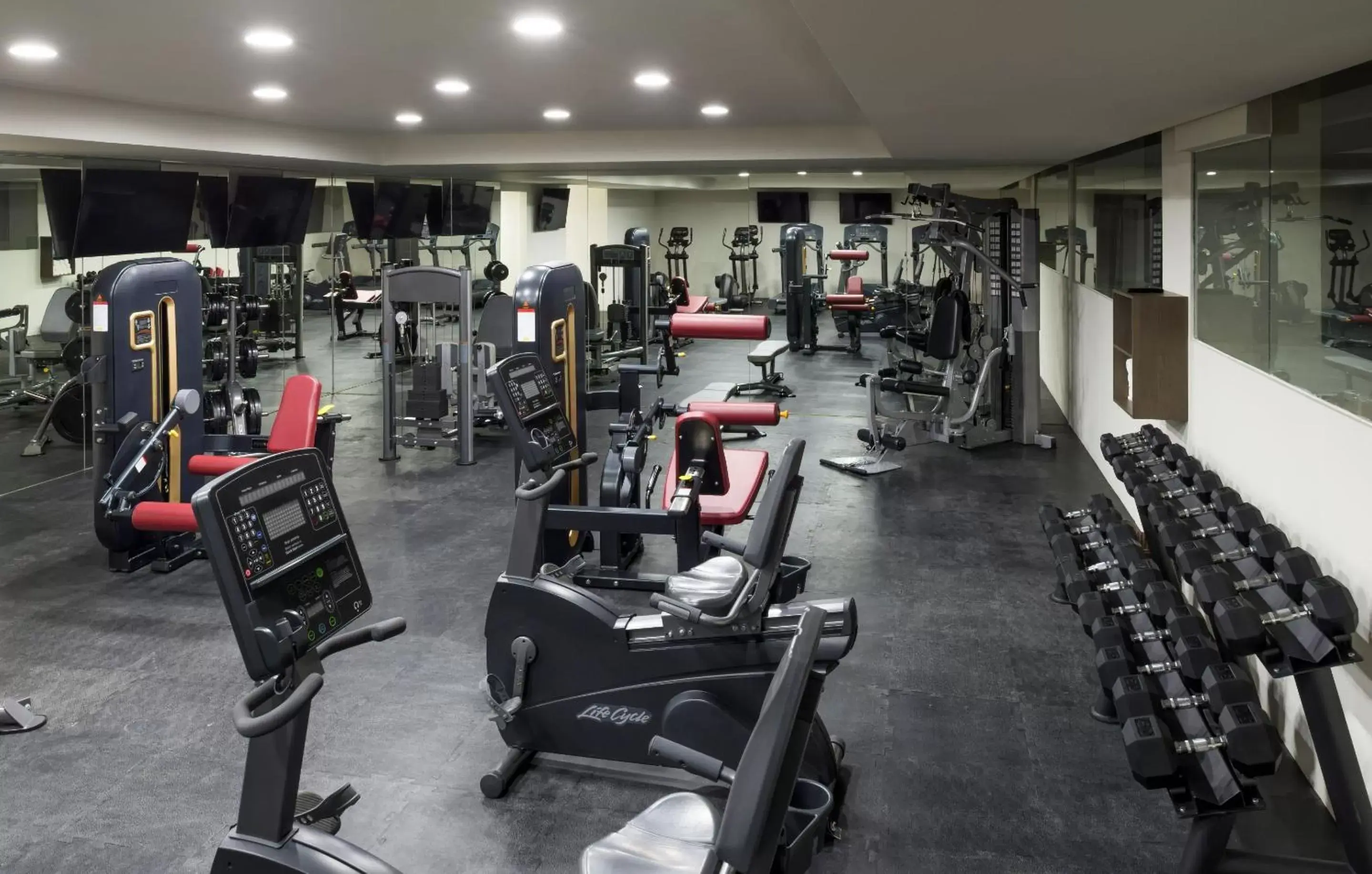 Fitness centre/facilities, Fitness Center/Facilities in Real Inn Celaya