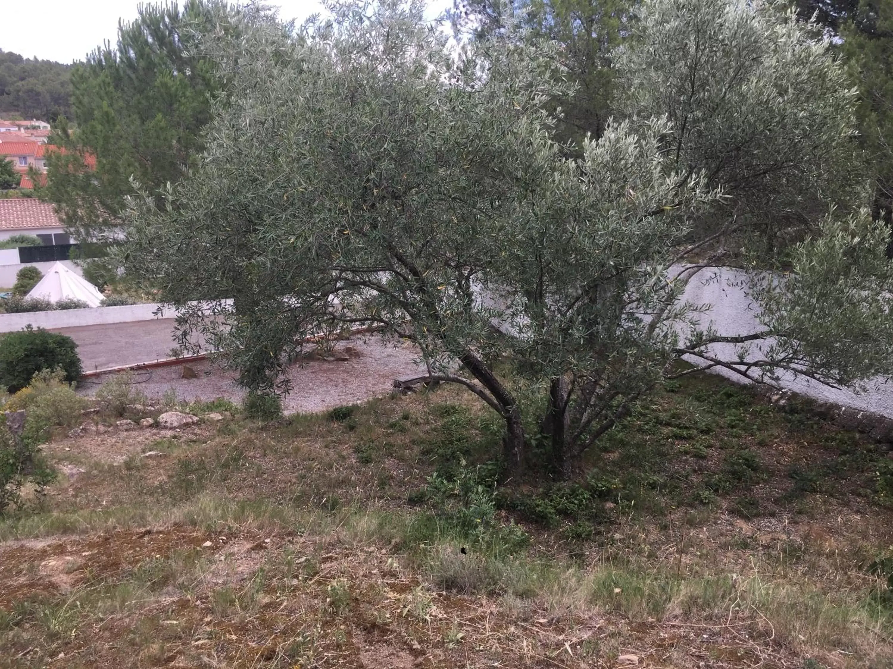 La Villa Du Menhir