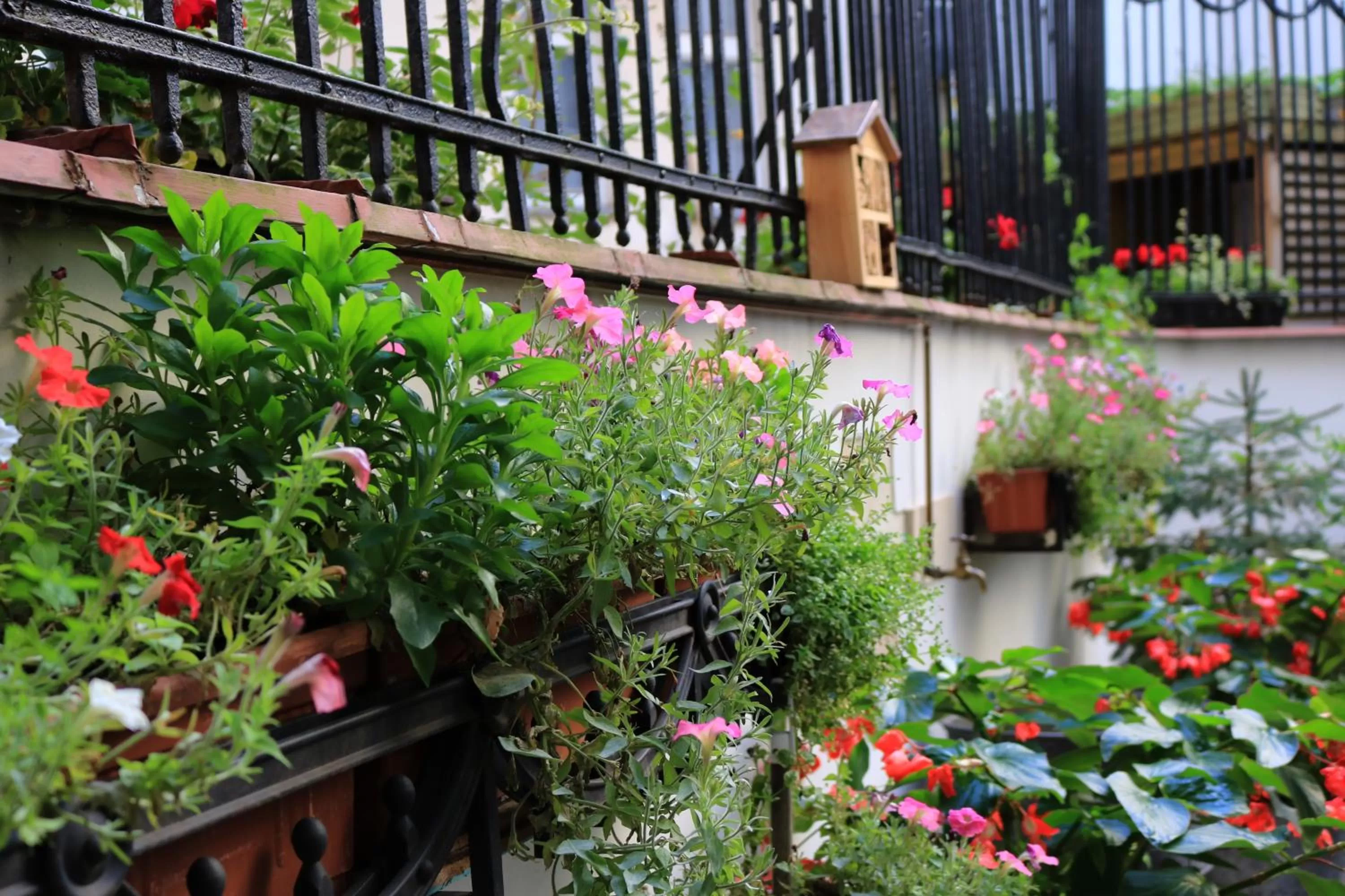 Property building in Chopin Boutique