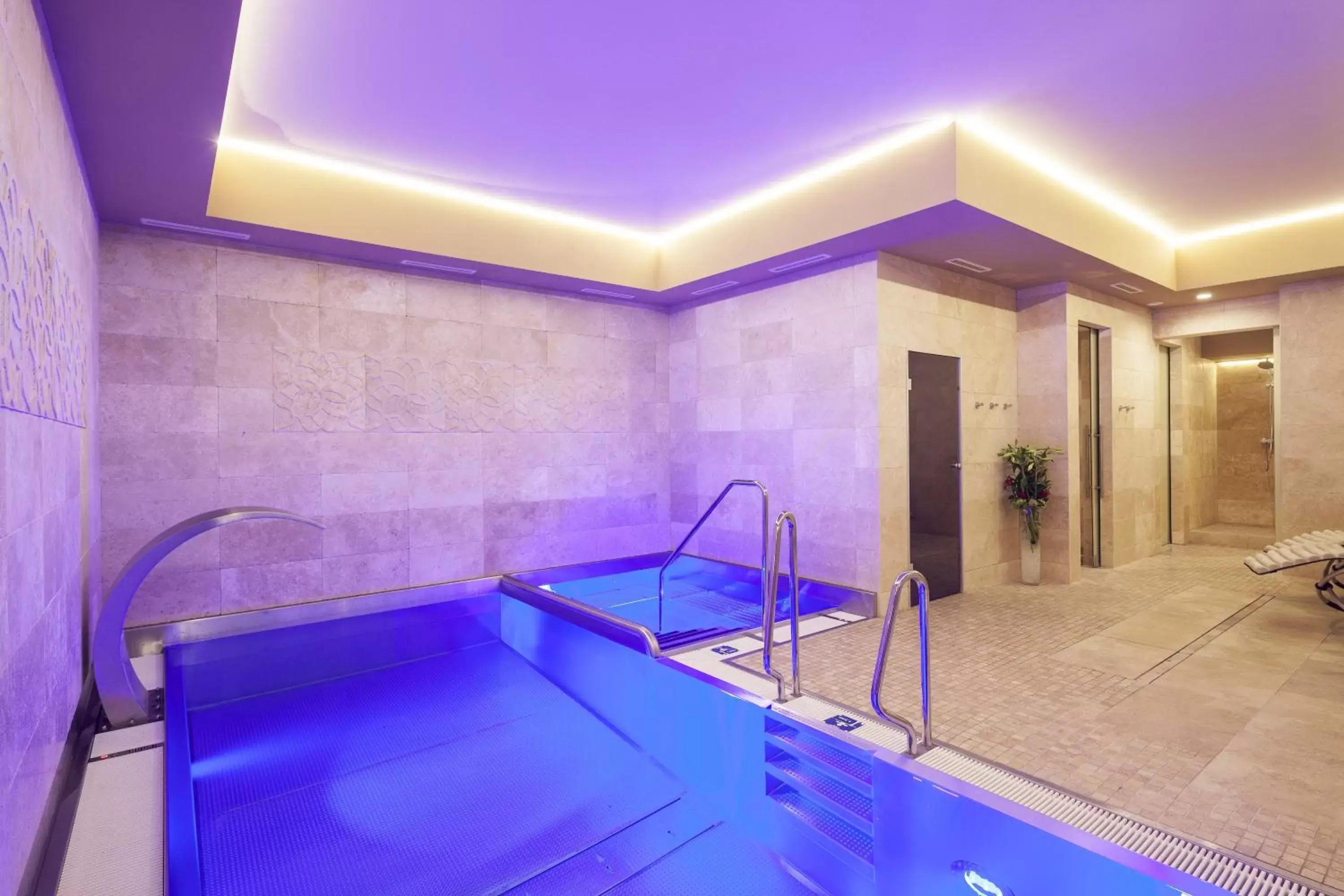Hot Tub, Swimming Pool in Kosher Hotel King David Prague