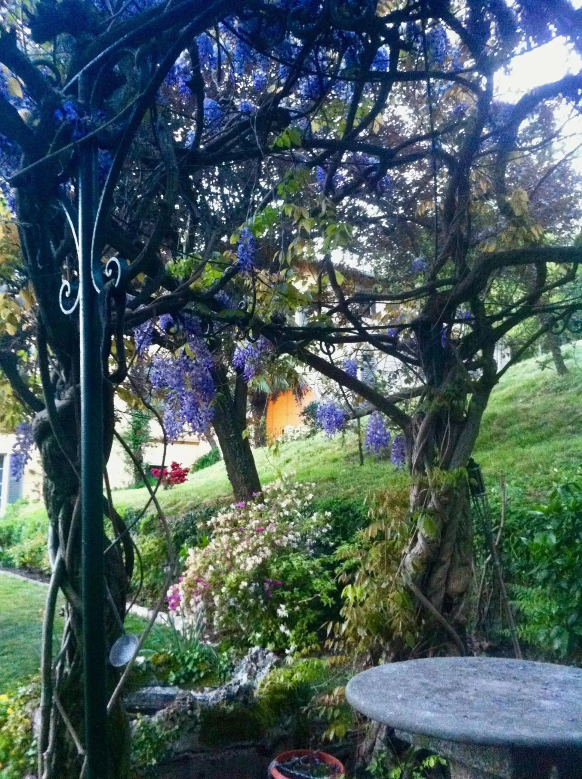 Spring, Garden in Villa Corti