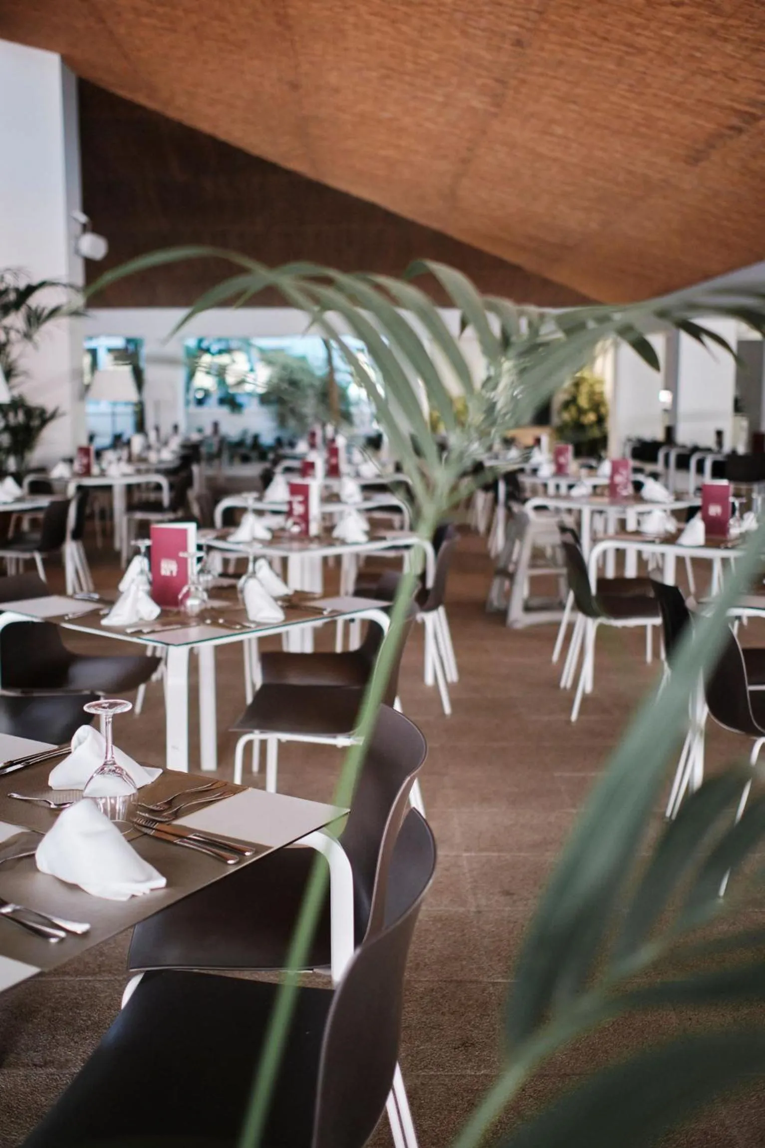 Restaurant/places to eat in Prinsotel La Pineda