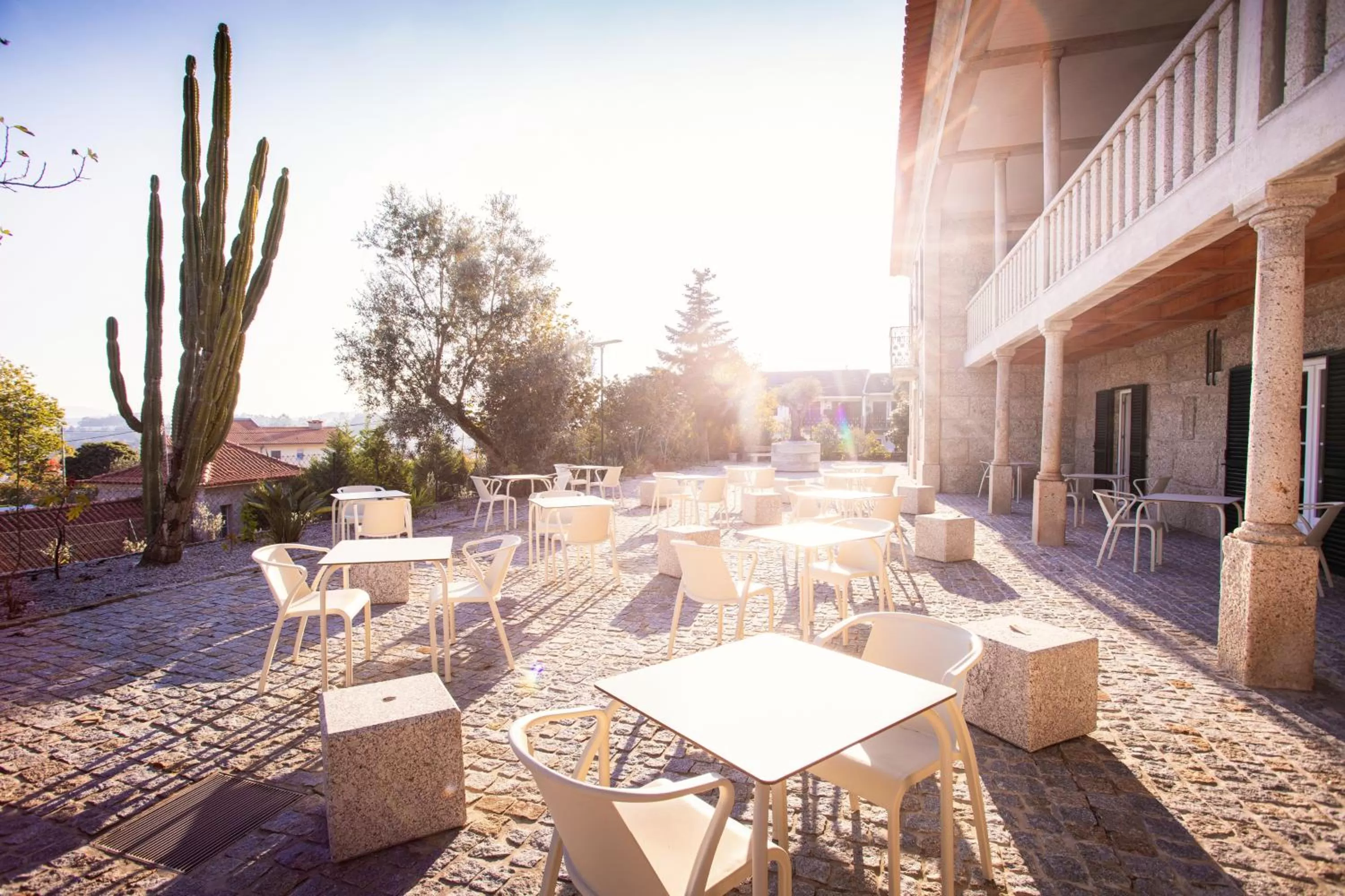 Restaurant/places to eat in Fonte Velha