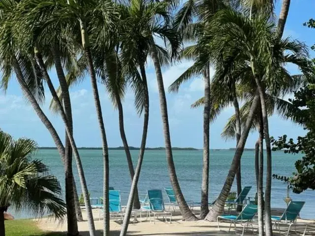 Sea View in Coconut Bay Resort - Key Largo