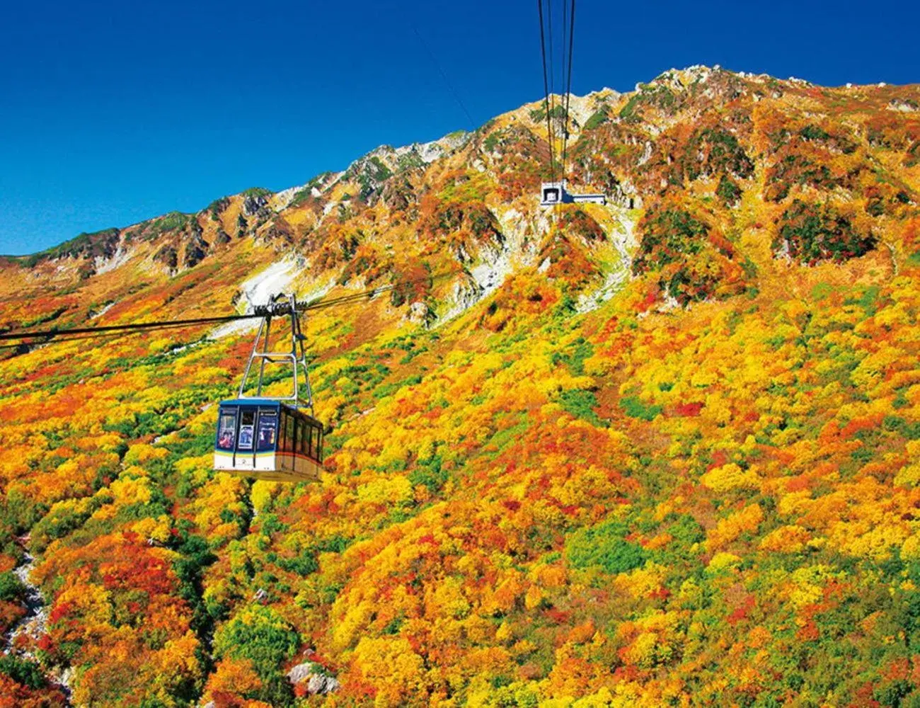 Nearby landmark in Hotel Morinokaze Tateyama